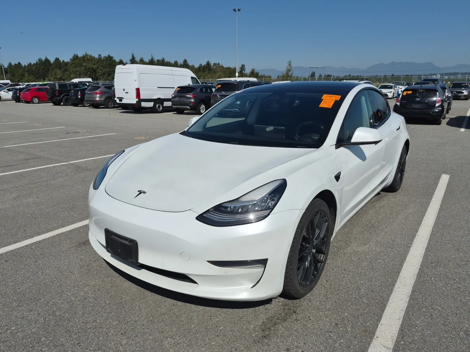 2020 Tesla Model 3
