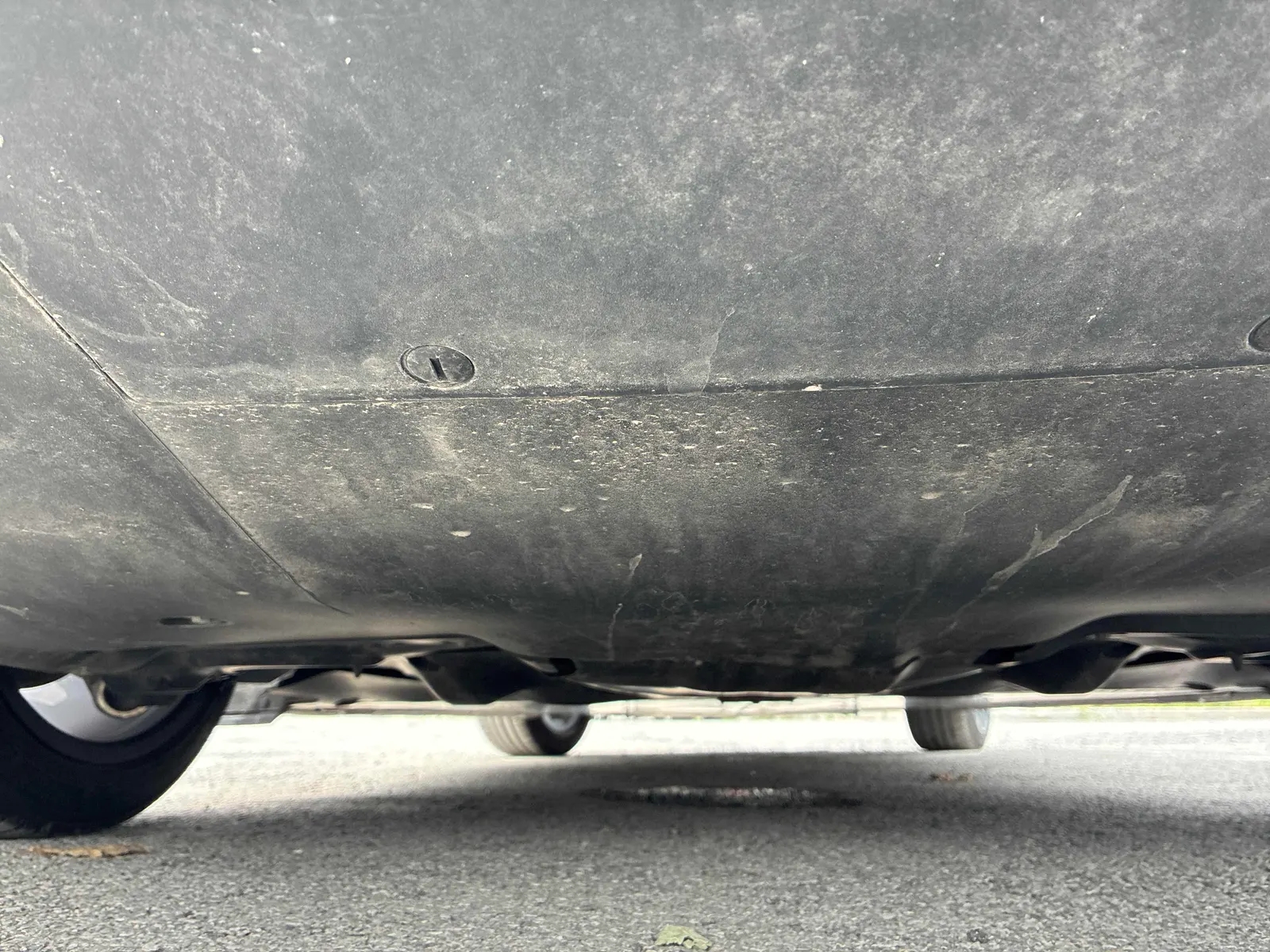 Additional Photo