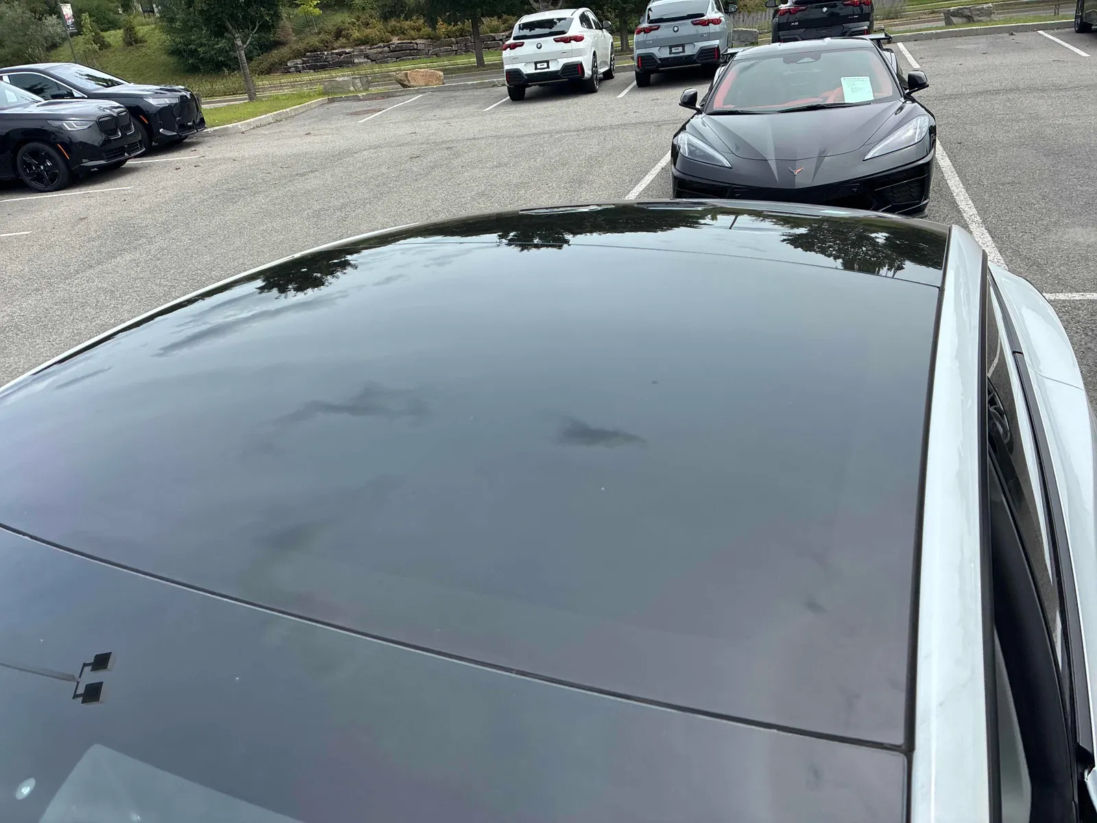 Additional Photo
