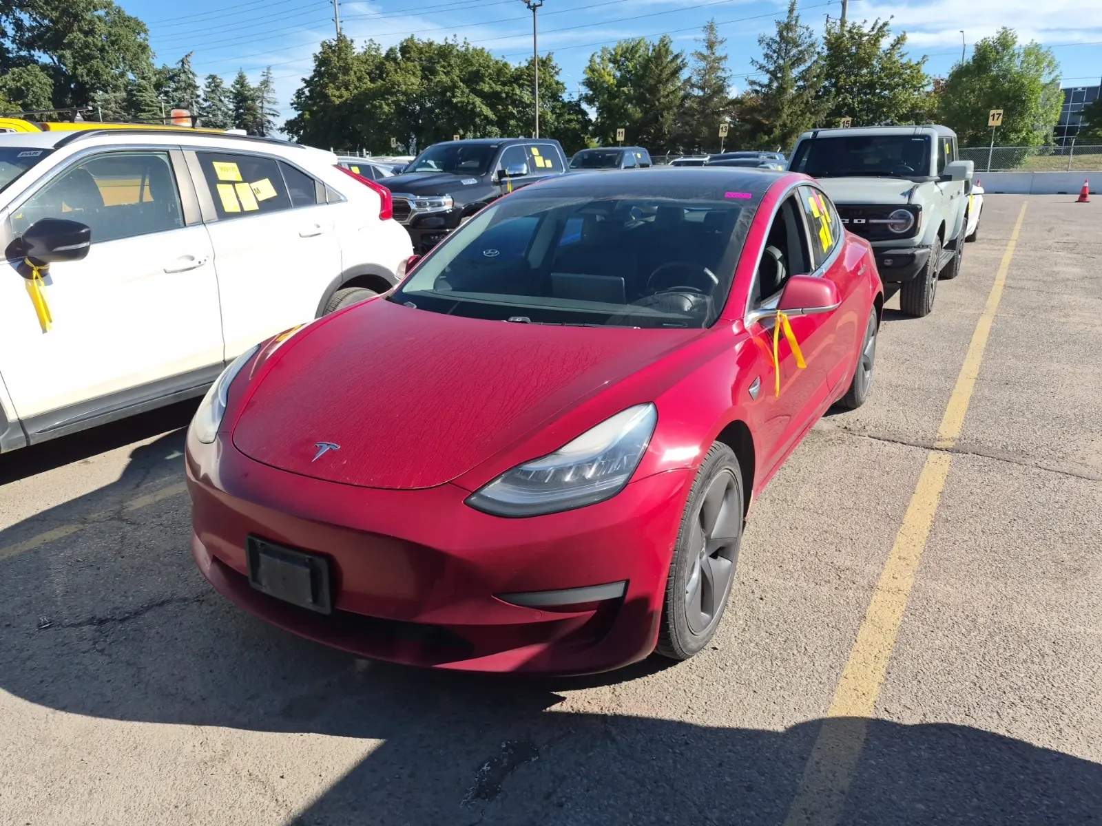 2019 Tesla Model 3