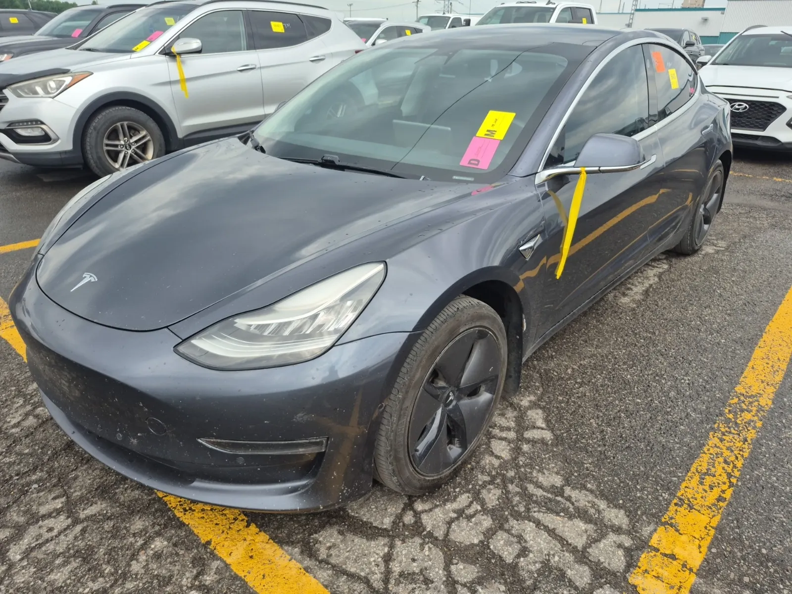 2019 Tesla Model 3