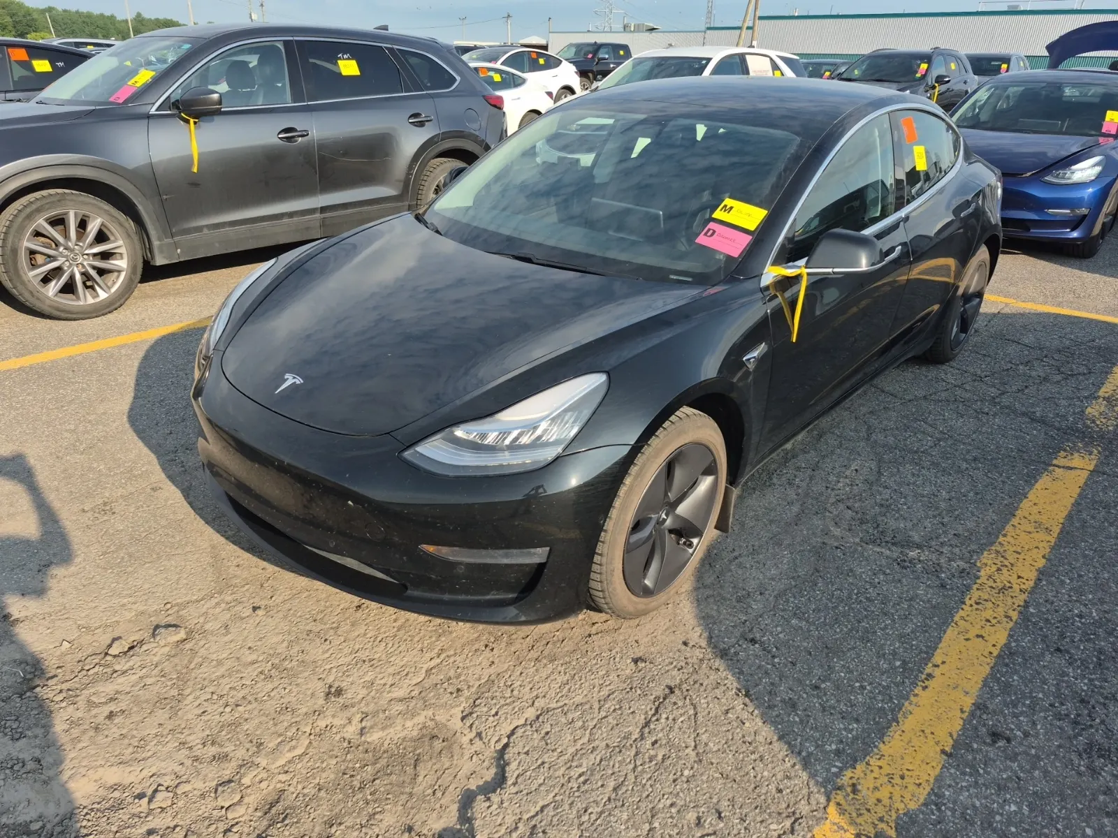 2019 Tesla Model 3