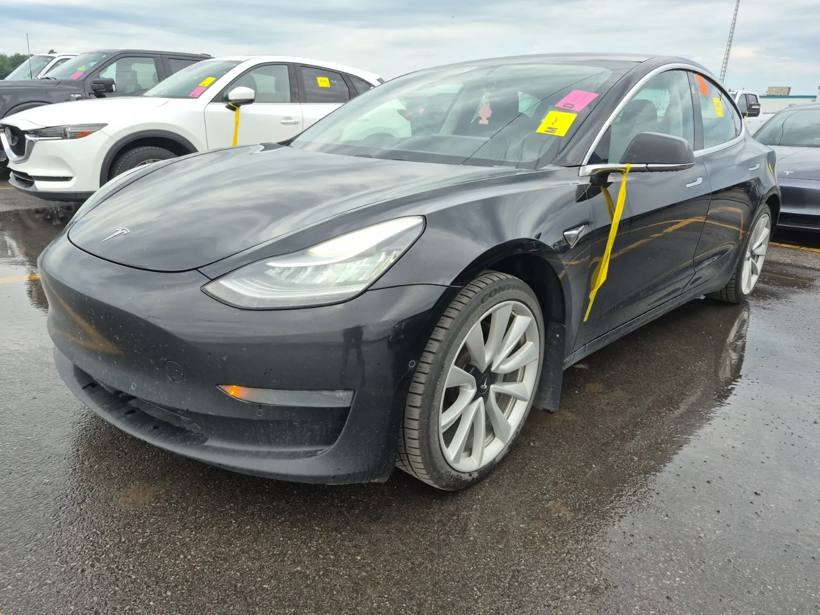 2019 Tesla Model 3