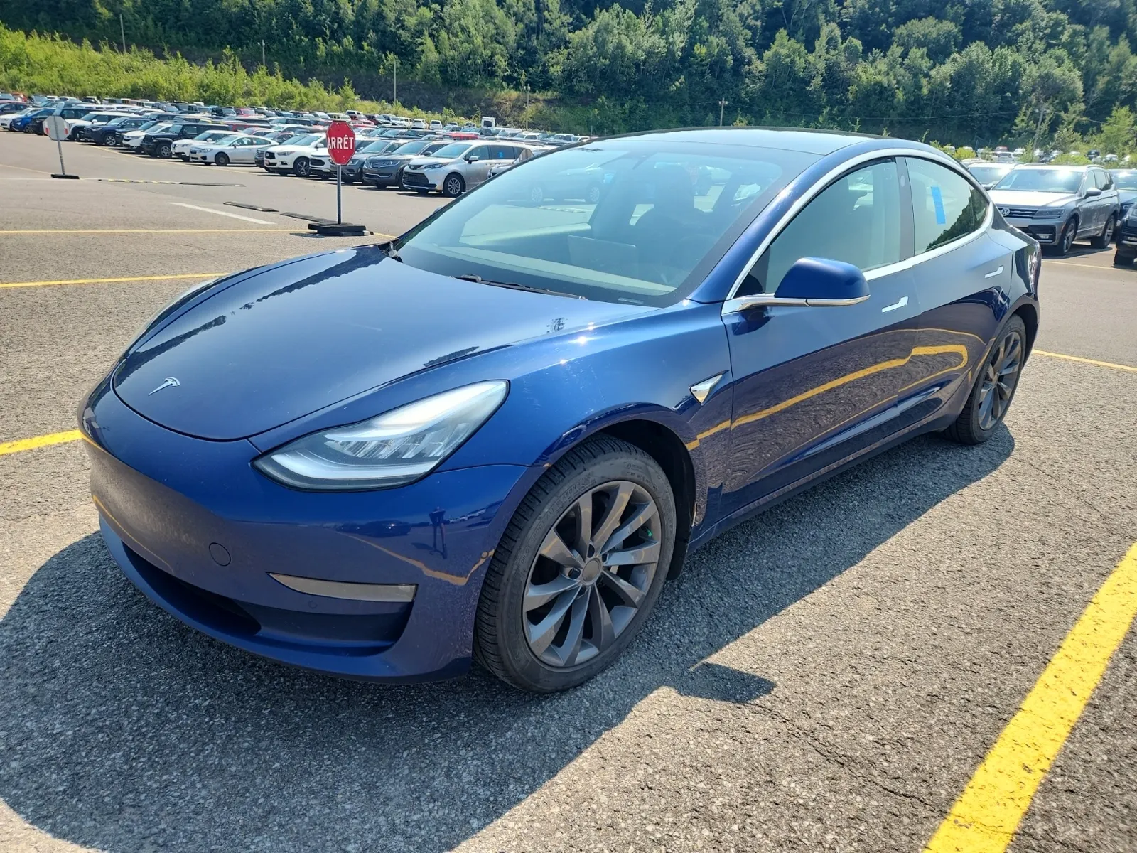 2019 Tesla Model 3
