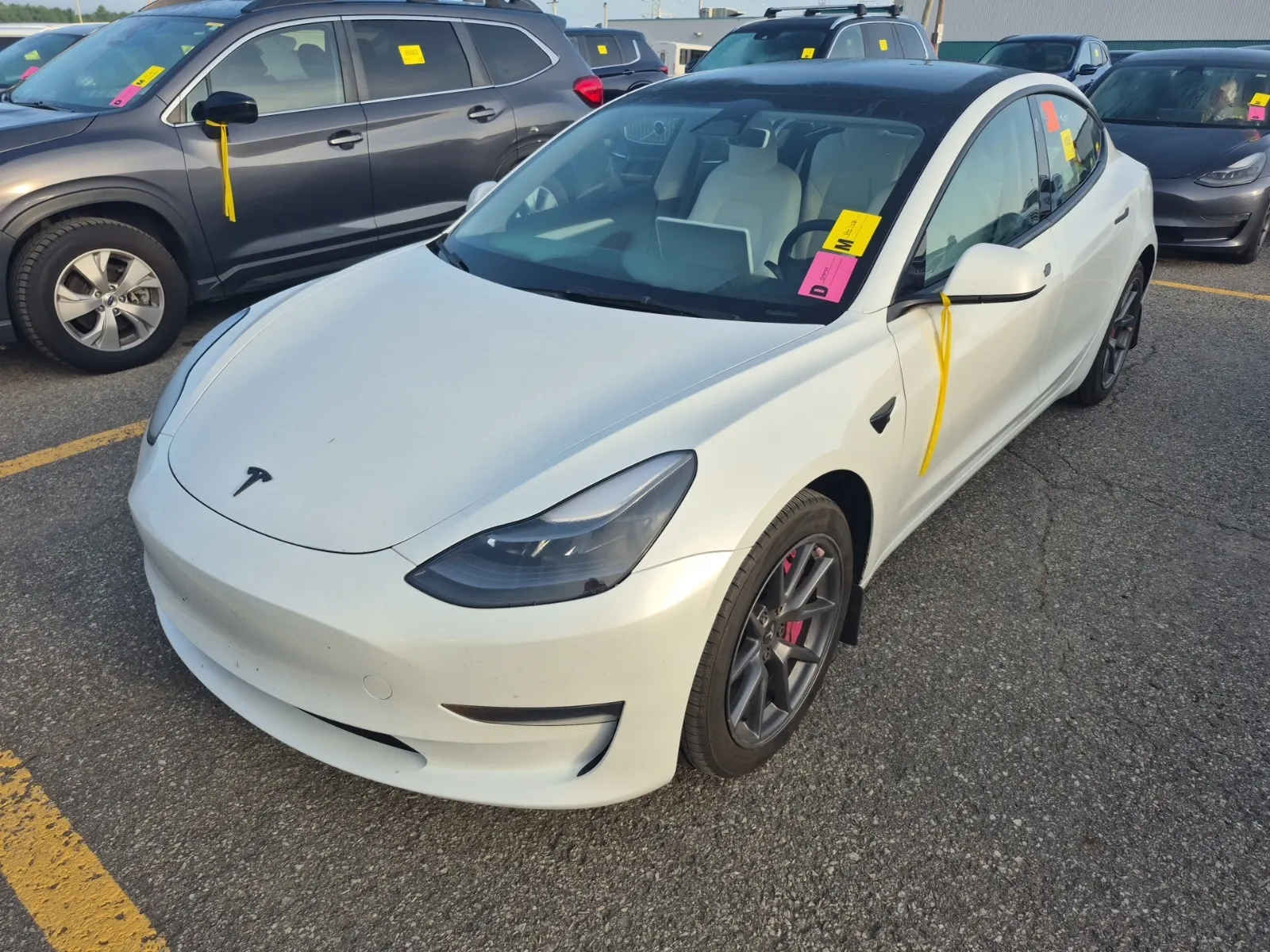 2023 Tesla Model 3