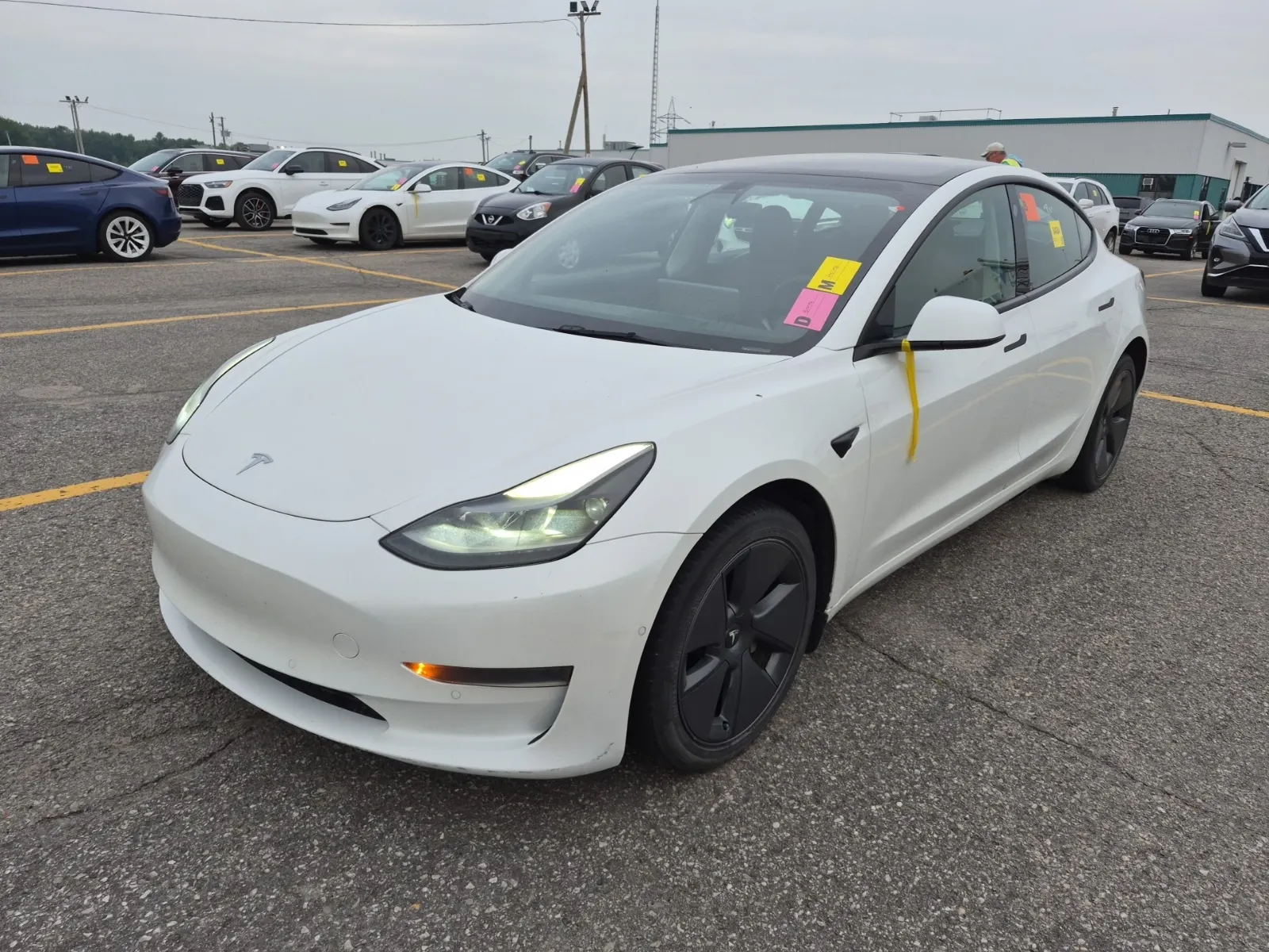 2021 Tesla Model 3