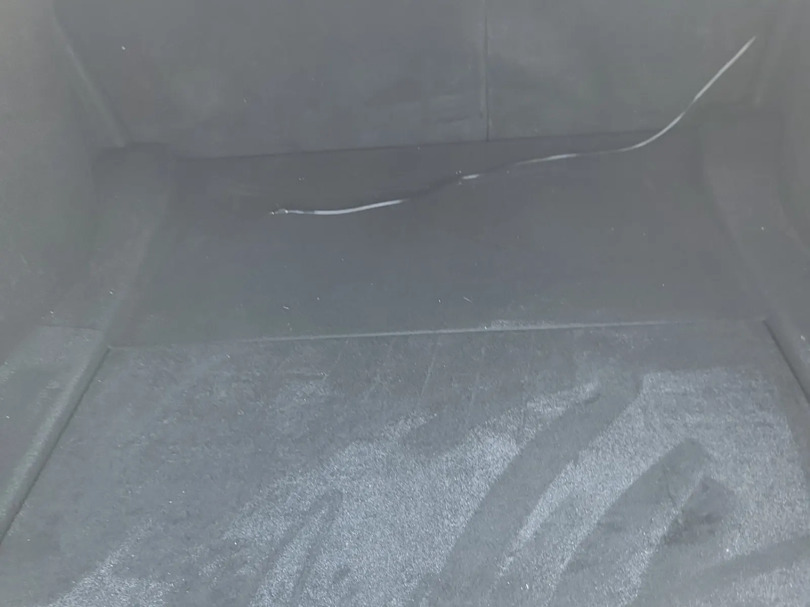 Cargo Area Photo