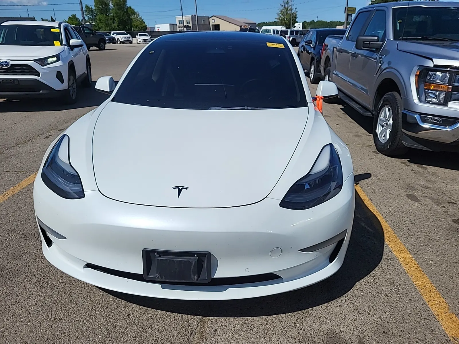 Full Front Photo