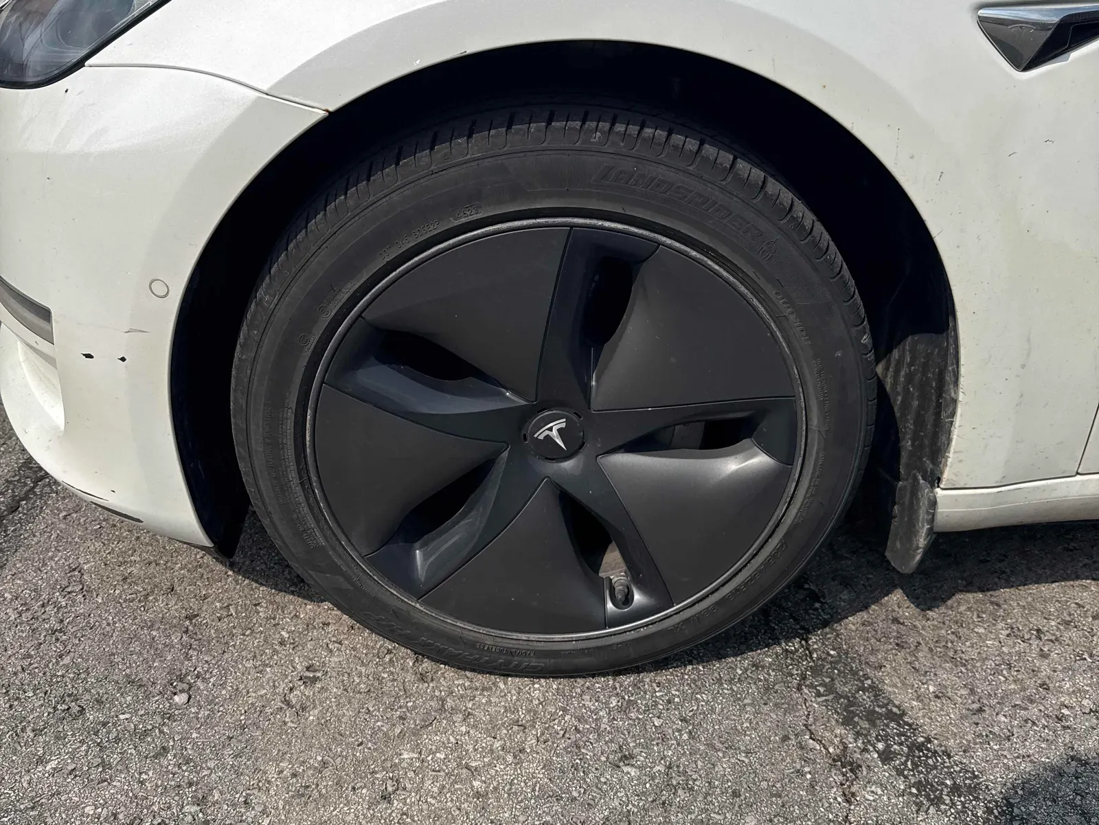 Tire