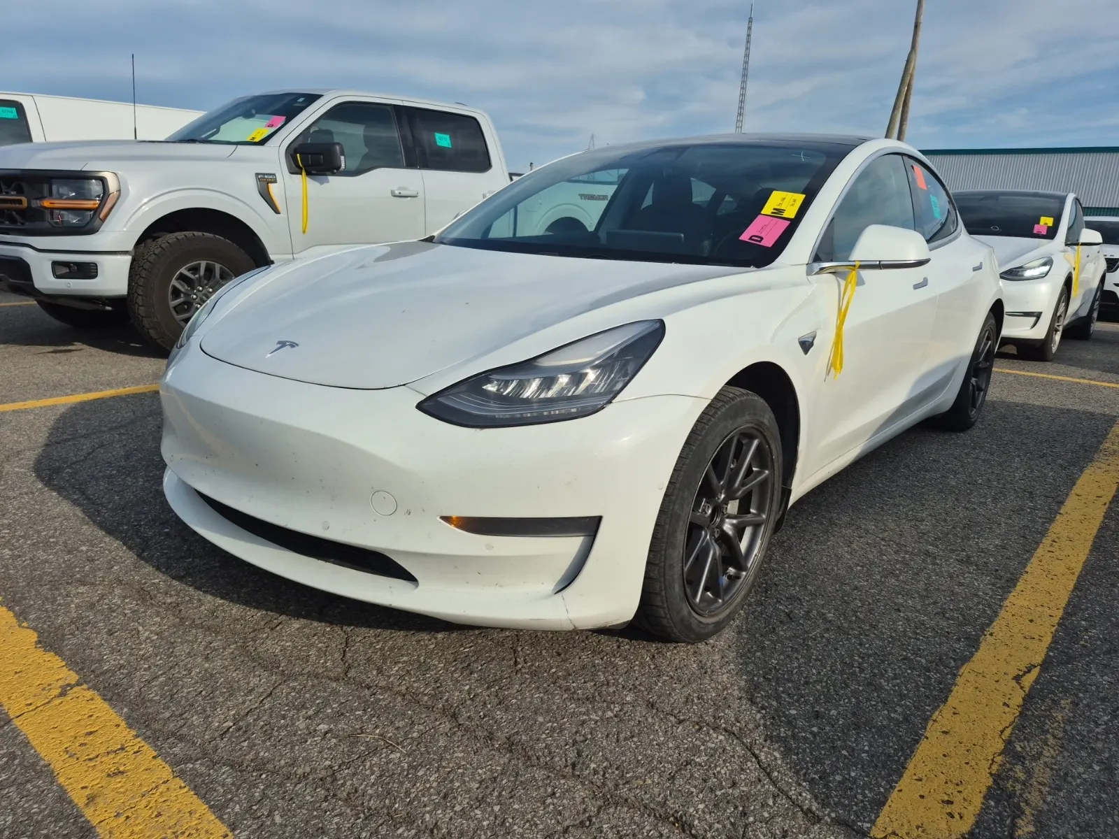 2019 Tesla Model 3