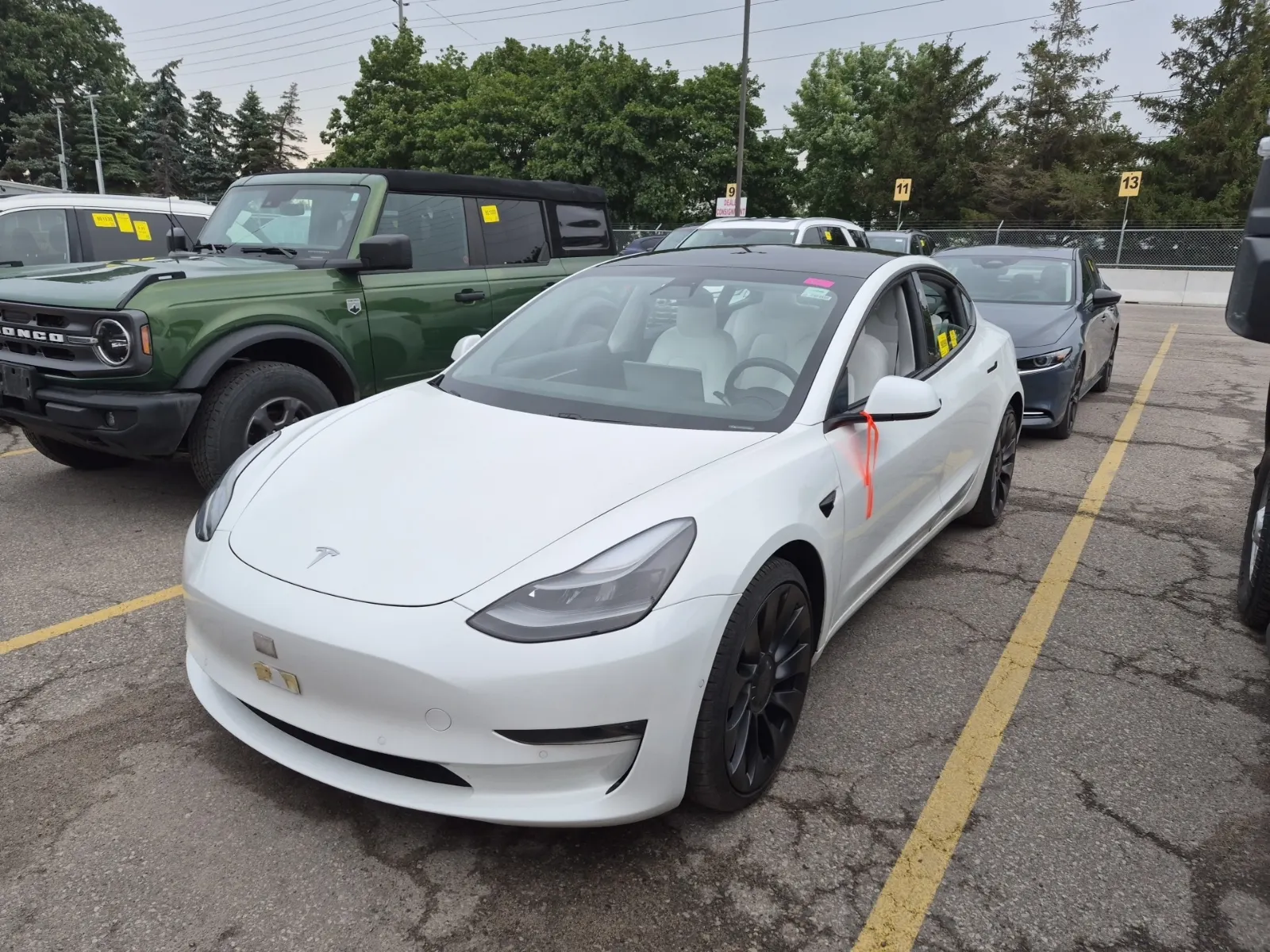 2021 Tesla Model 3
