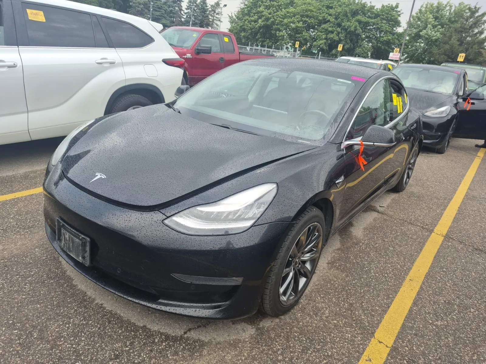 2019 Tesla Model 3