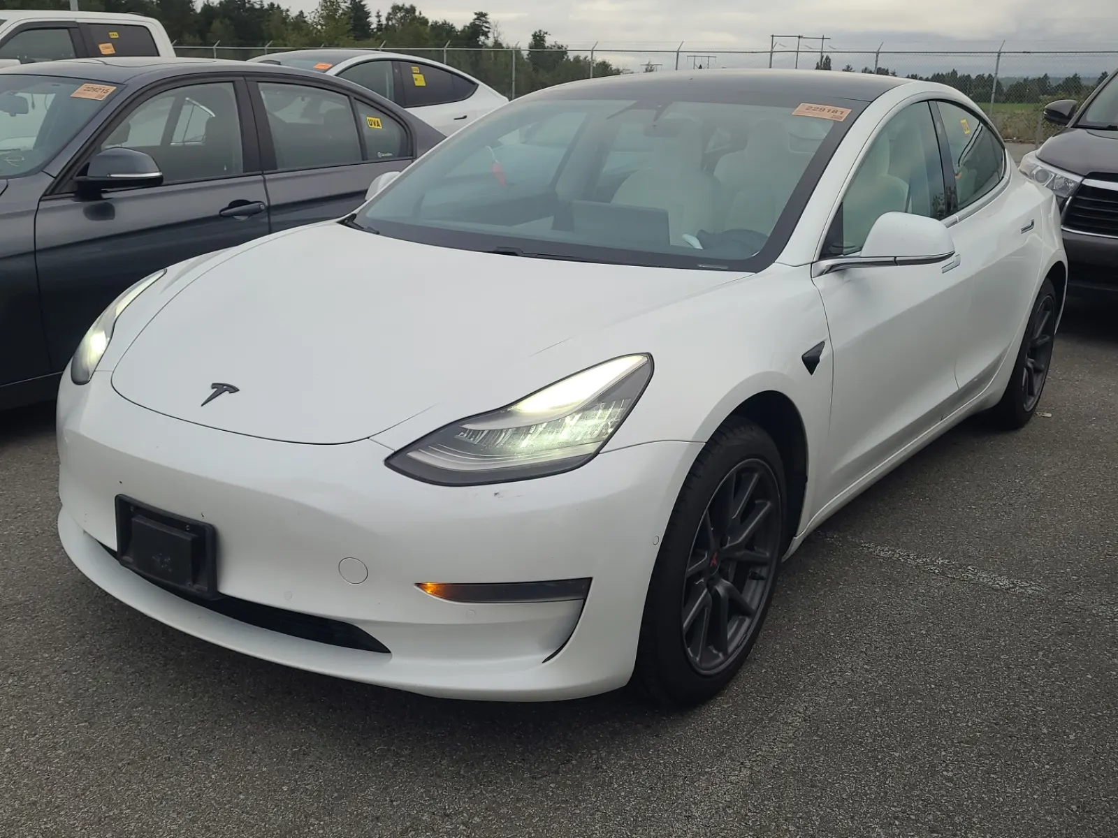 2019 Tesla Model 3