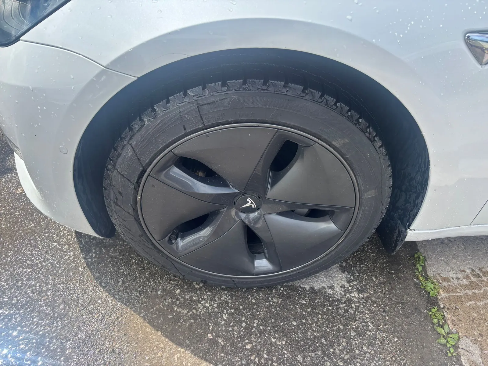 Tire