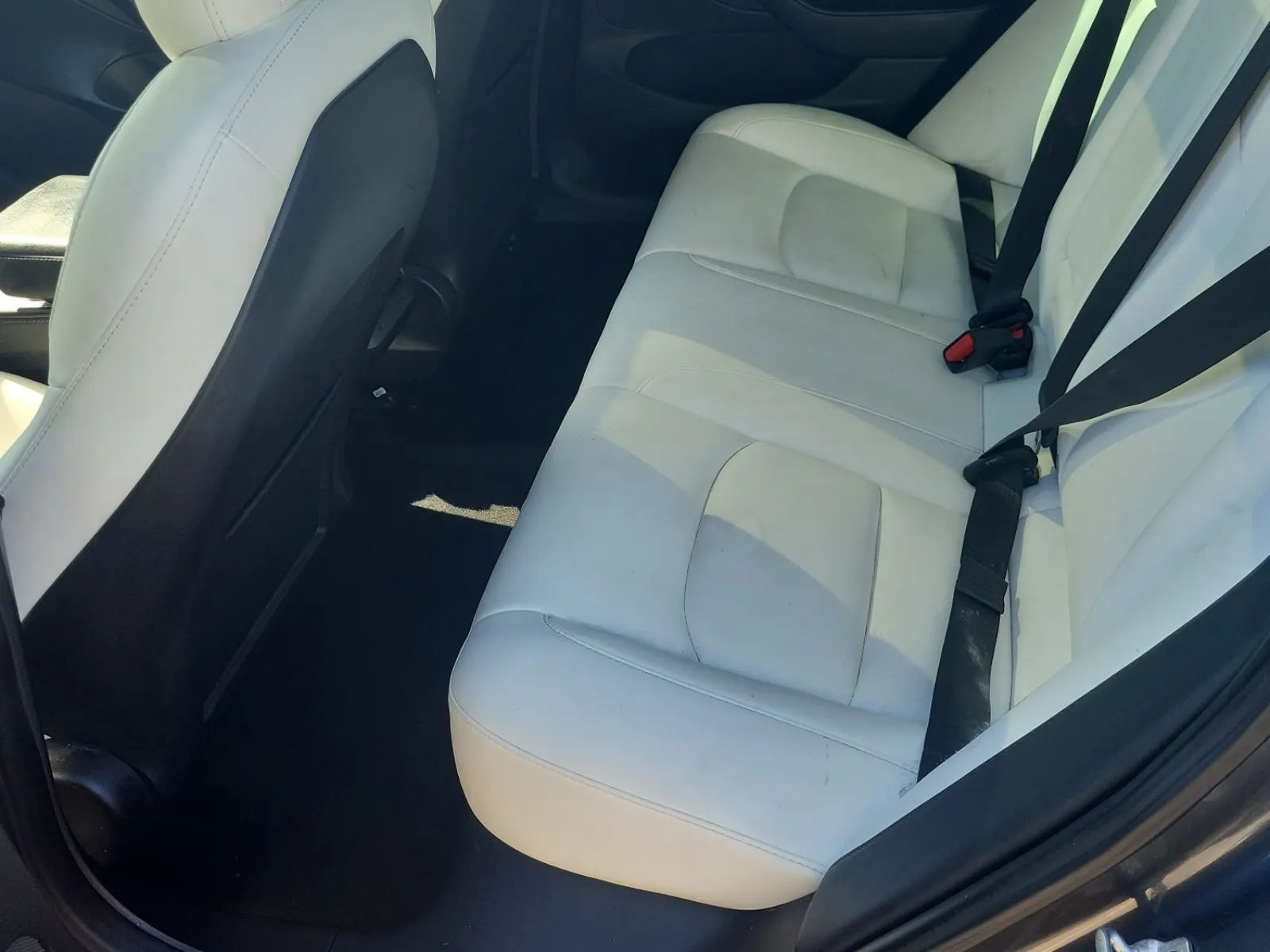Rear Interior Photo