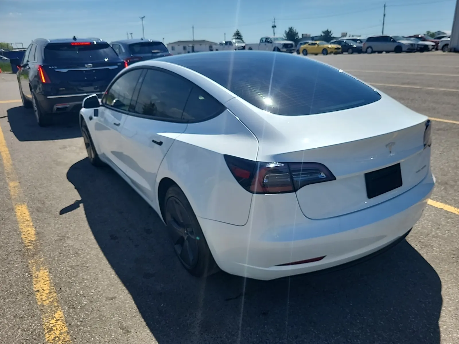 Driver Rear 3/4 Photo