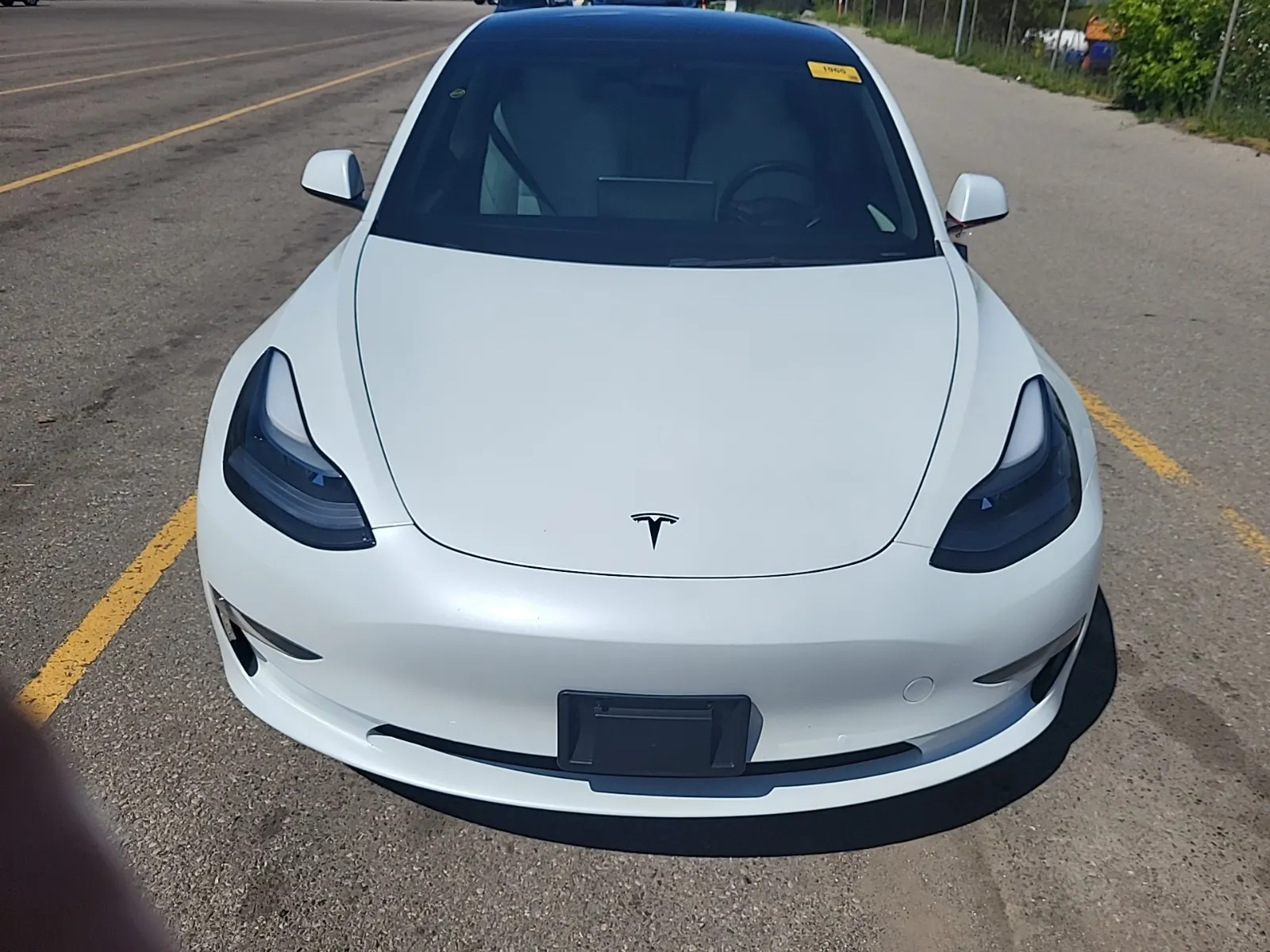Full Front Photo