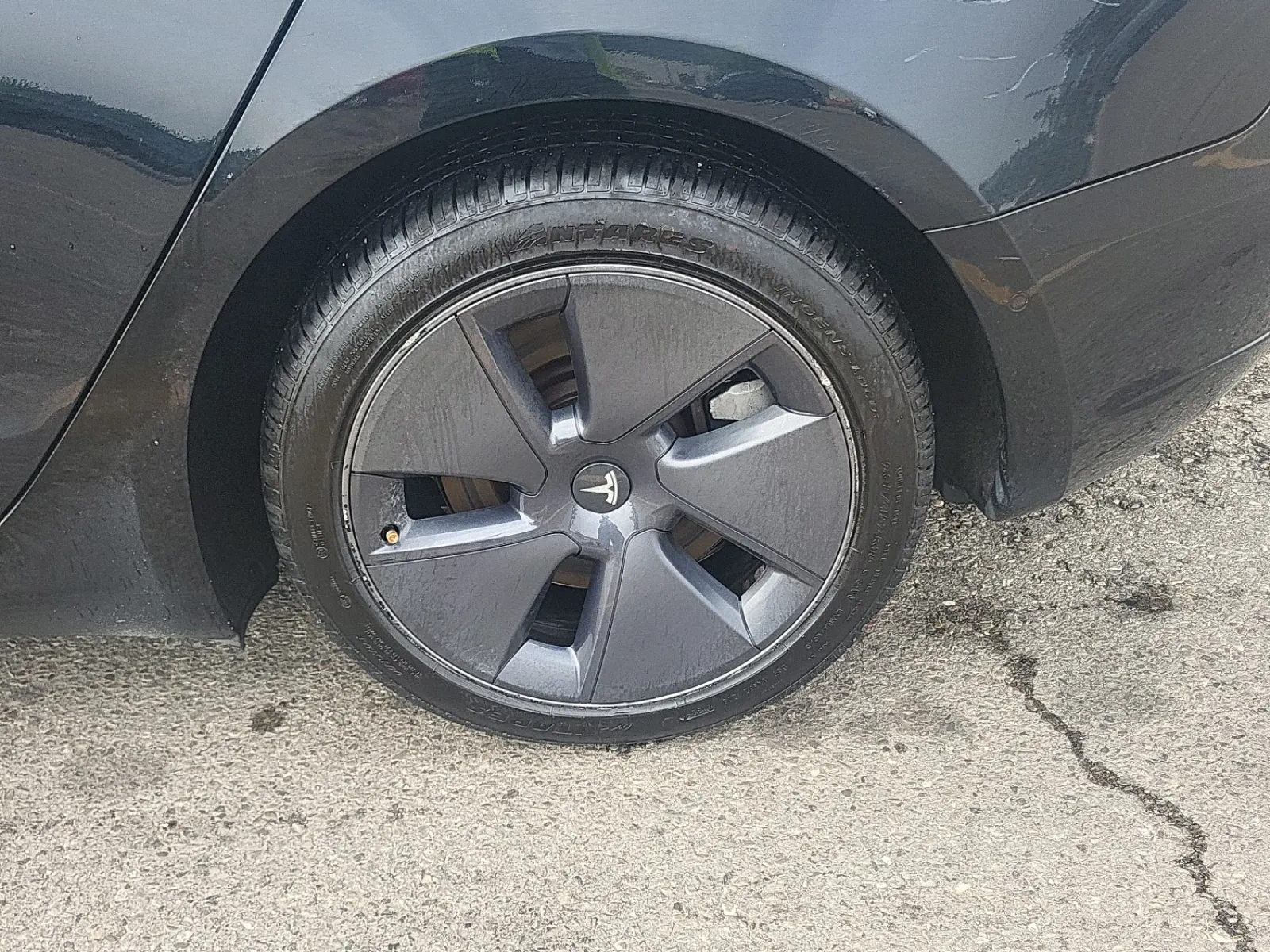 Left Rear Wheel/Tire Photo