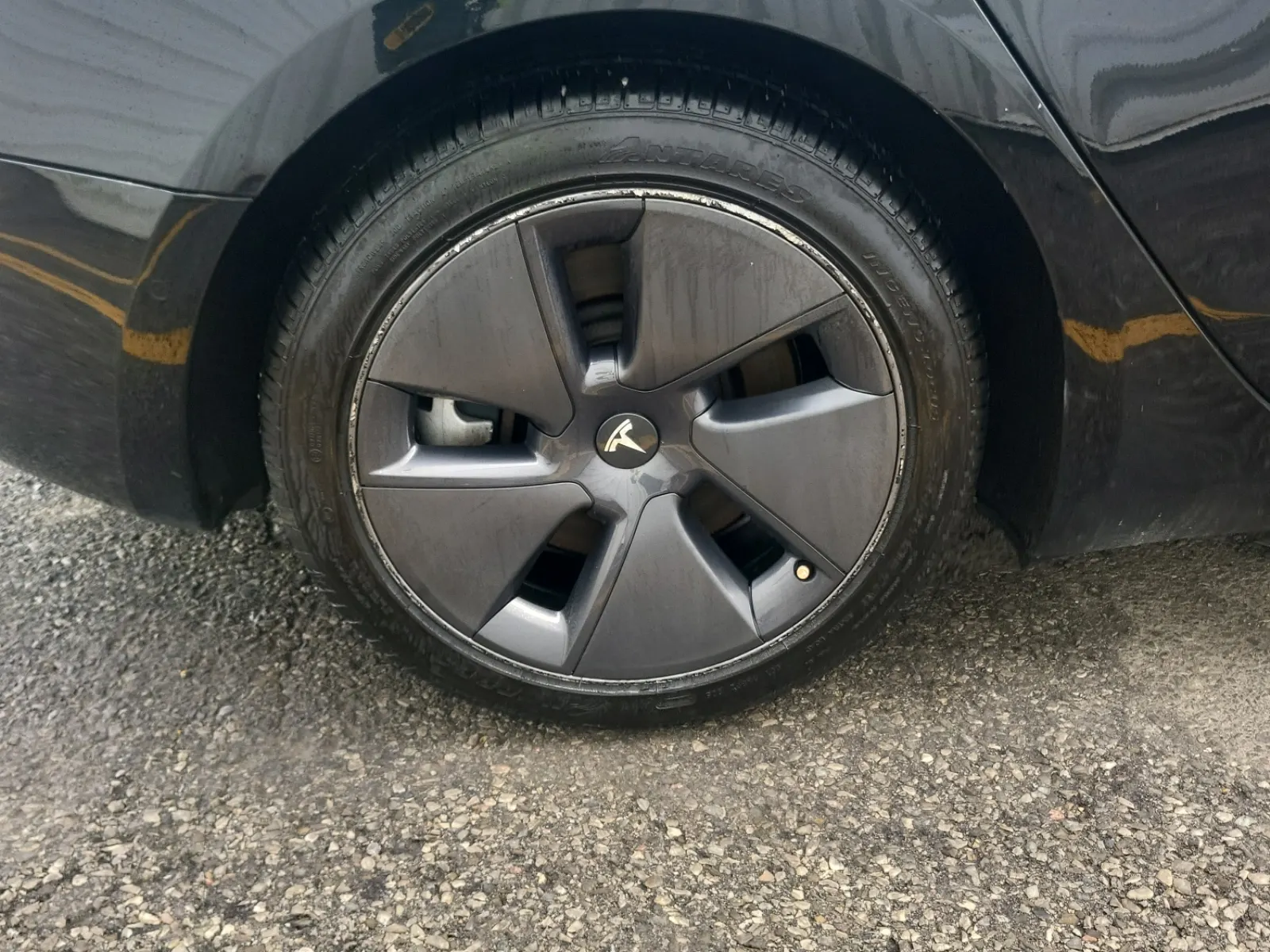 Right Rear Wheel/Tire Photo