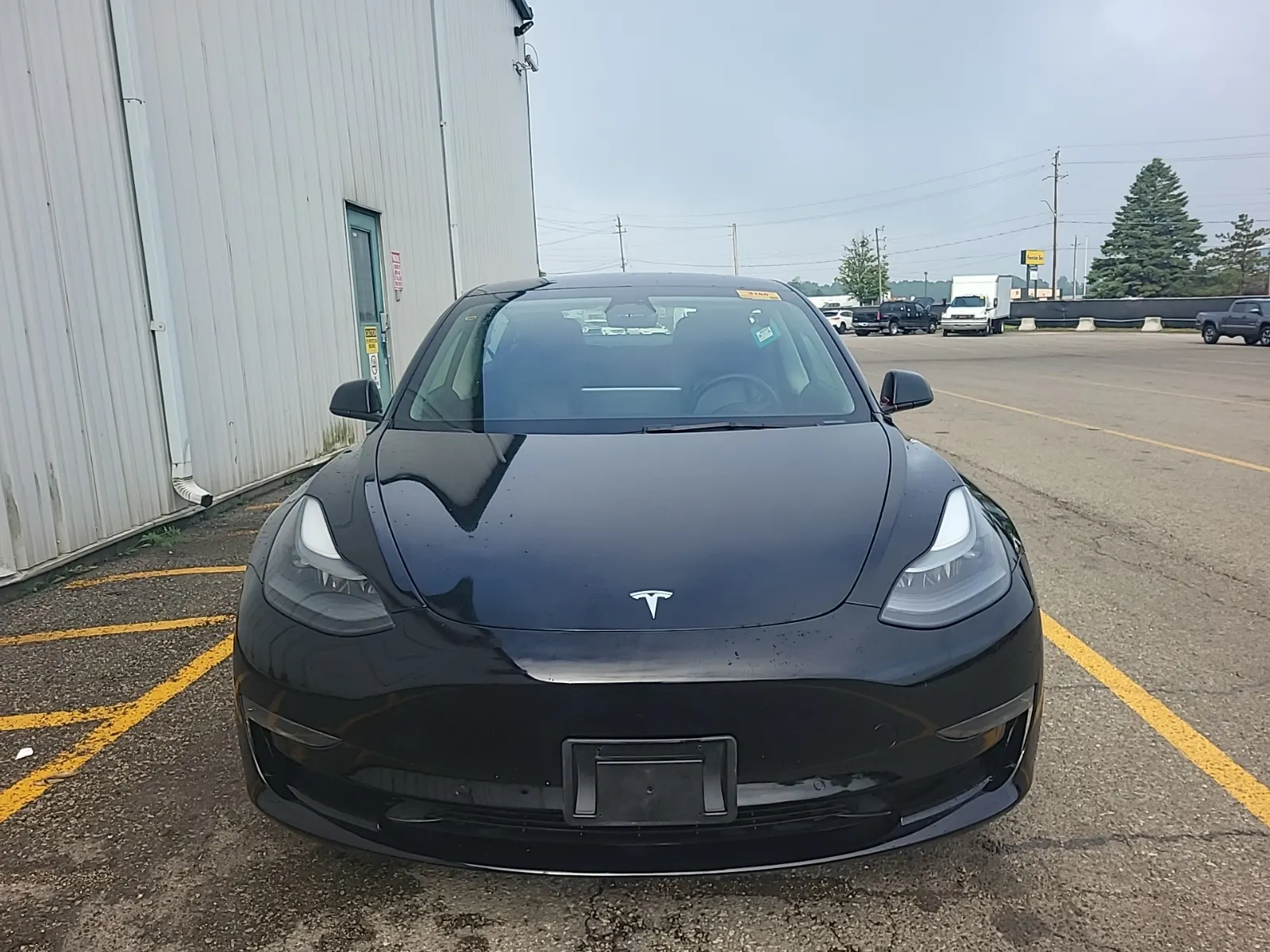 Full Front Photo