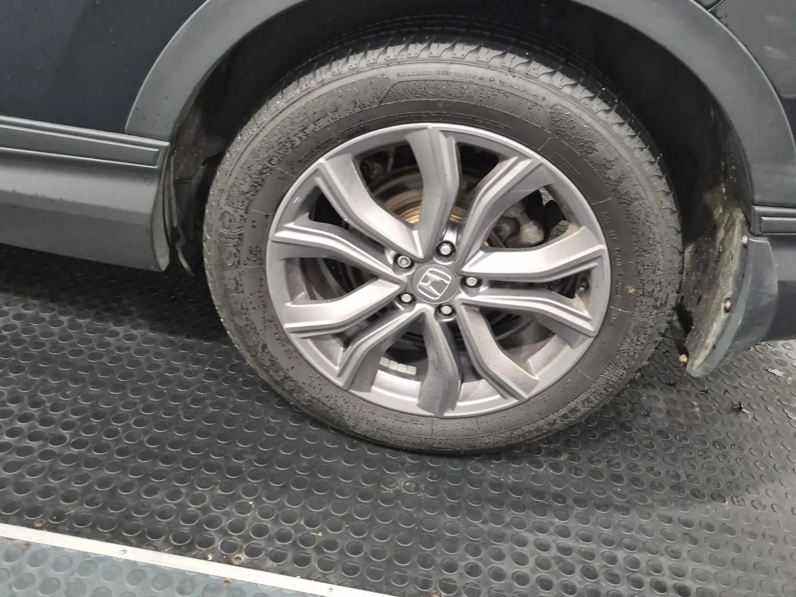 Left Rear Wheel/Tire Photo