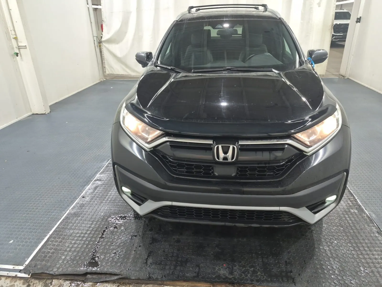 Full Front Photo