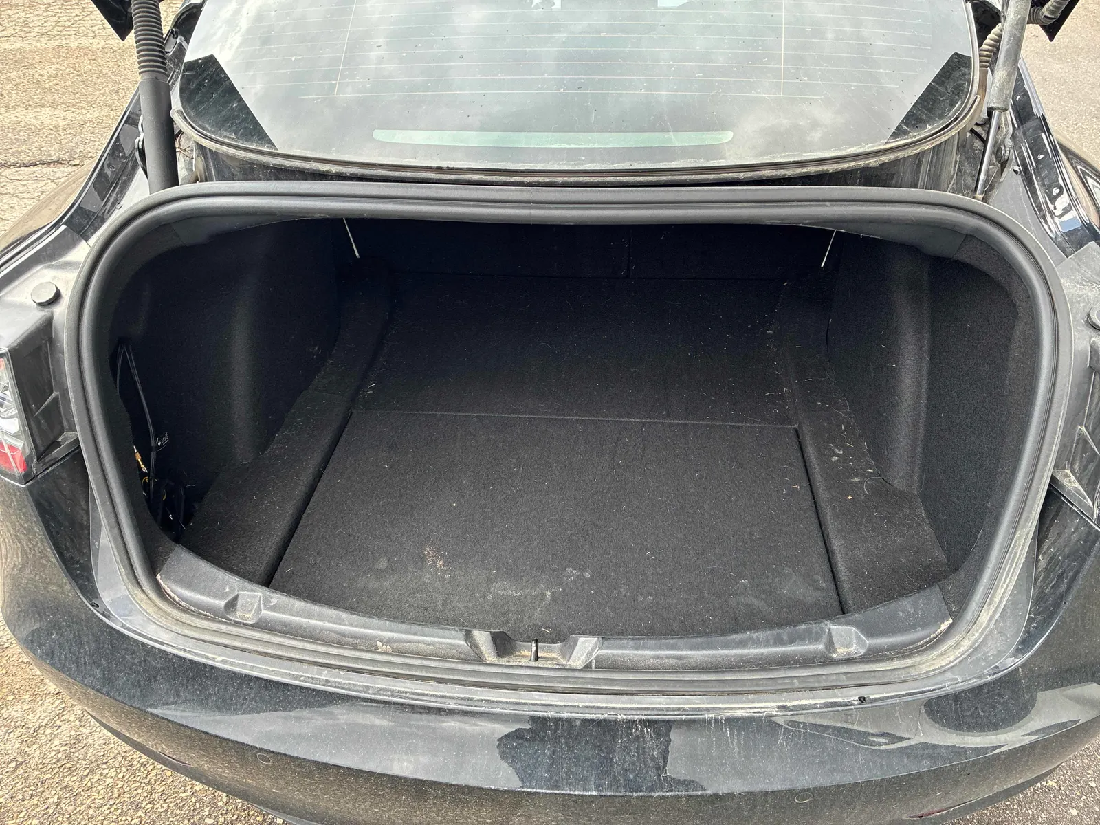 Additional Photo