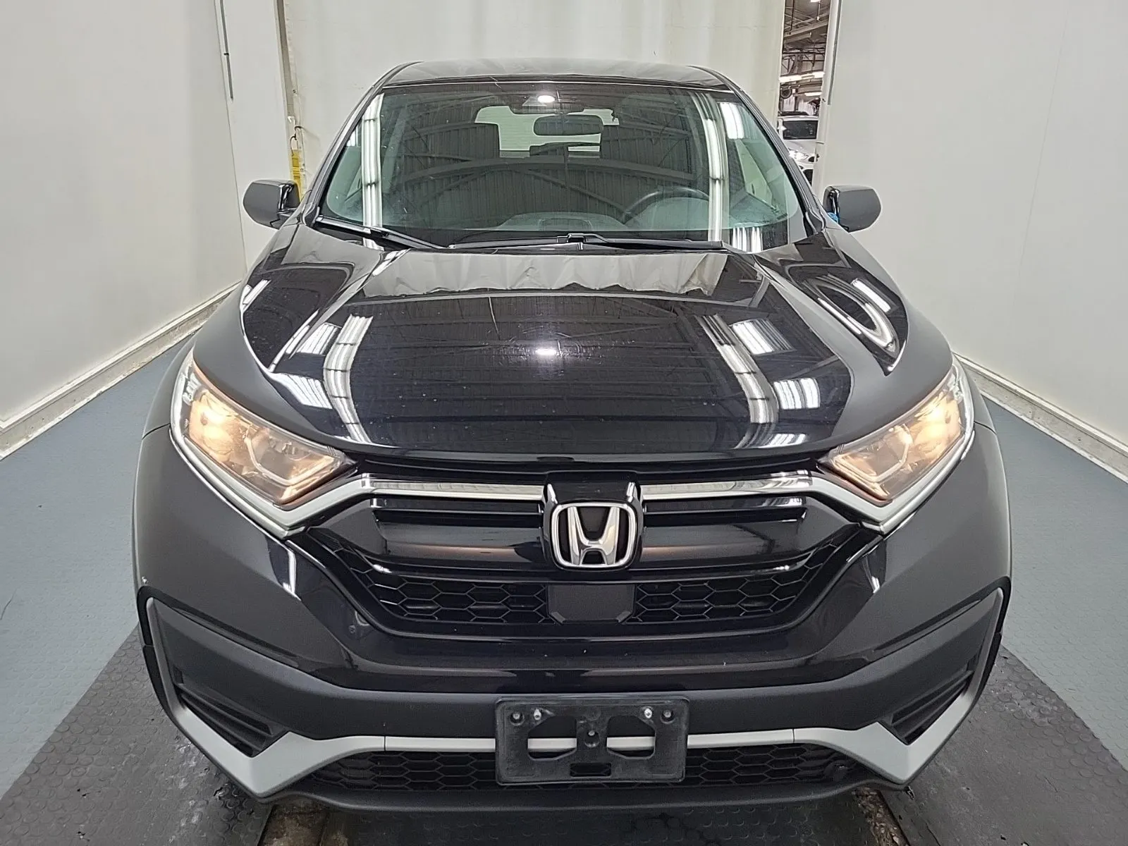 Full Front Photo