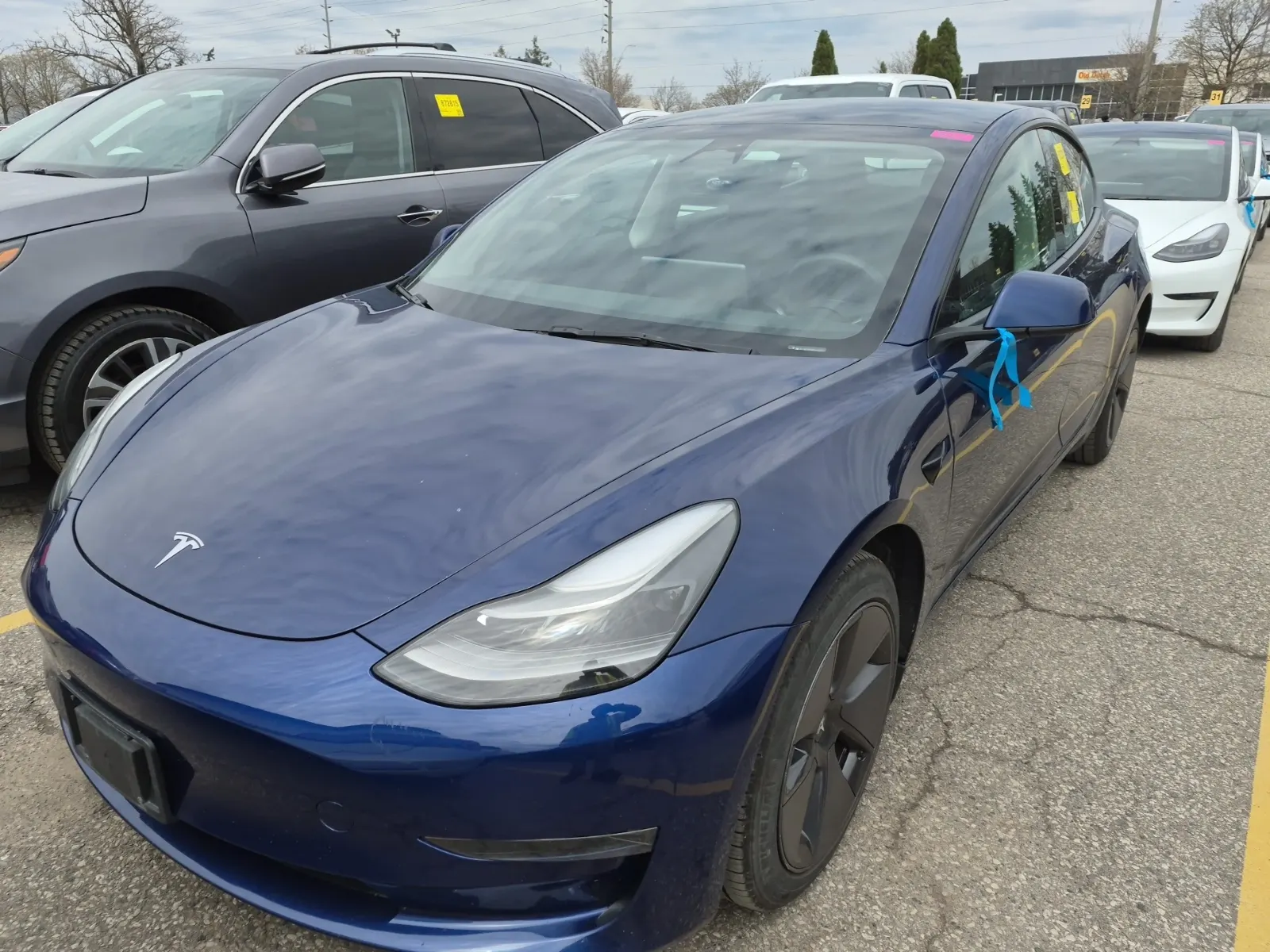 2023 Tesla Model 3