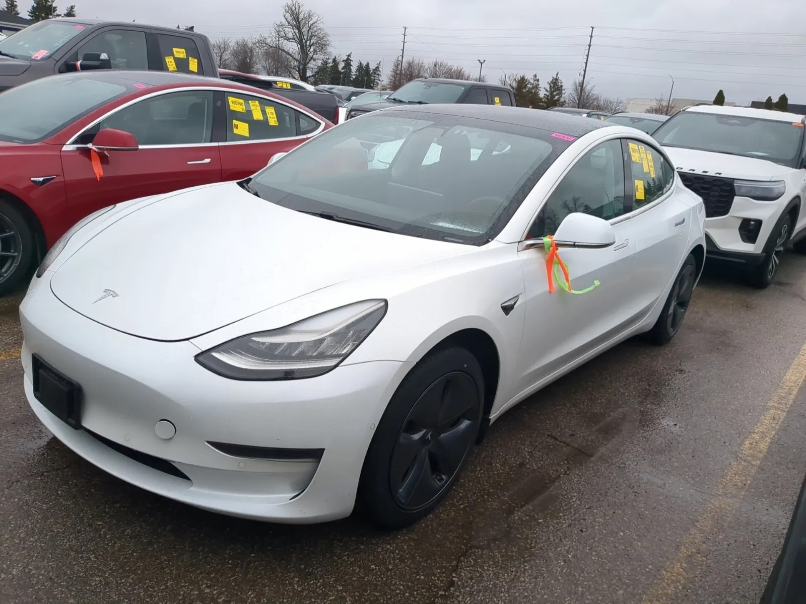 2019 Tesla Model 3