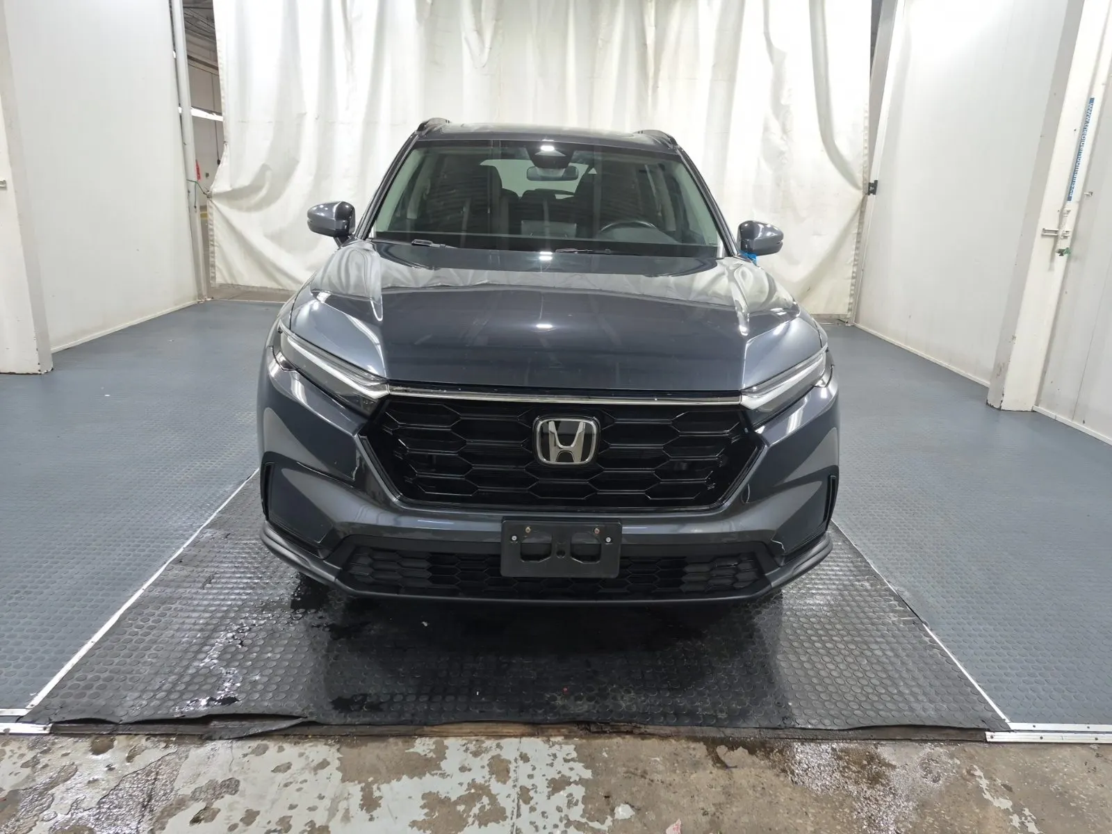 Full Front Photo