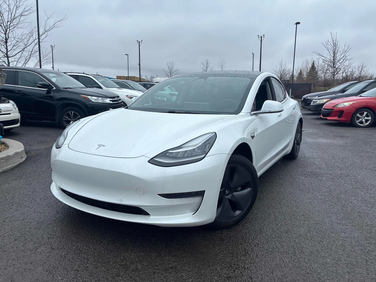 2019 Tesla Model 3