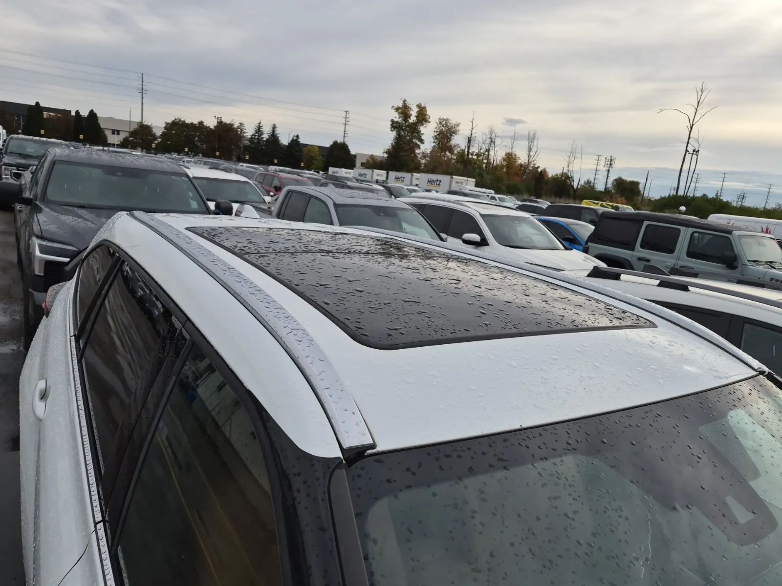 Exterior Roof Photo