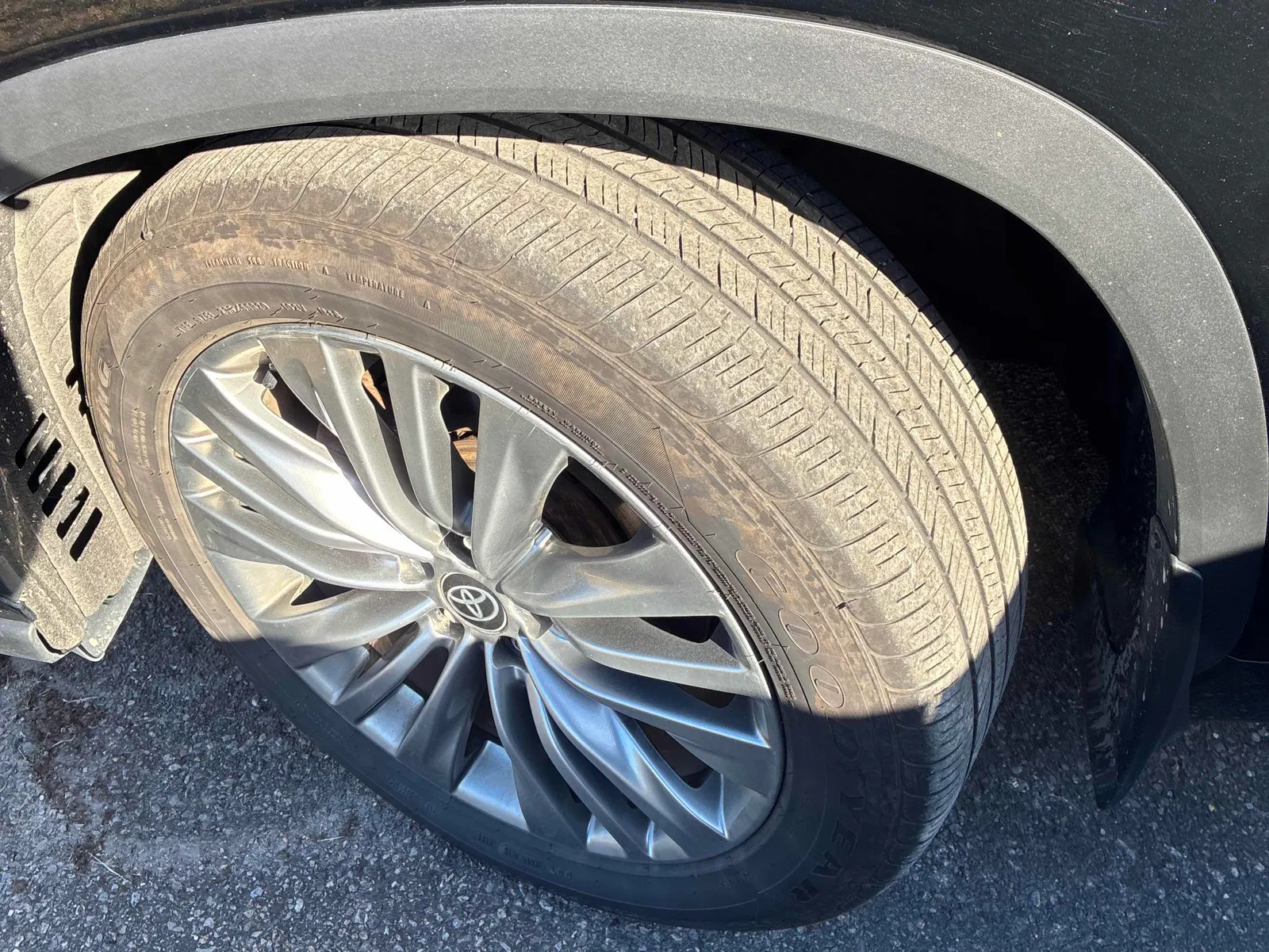 Tire