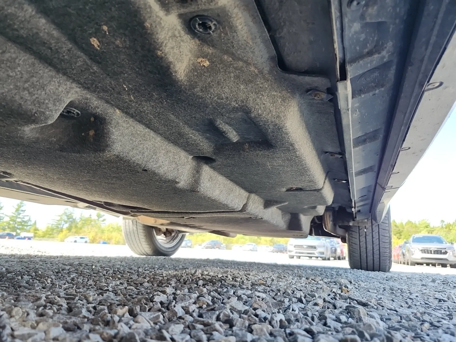 Undercarriage - Driver Photo