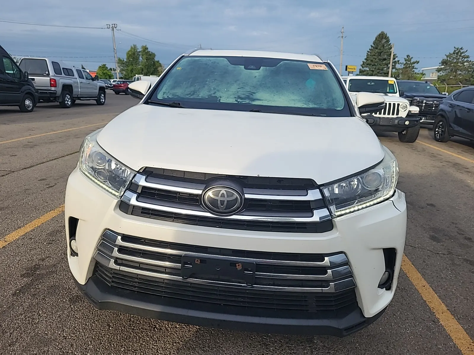 Full Front Photo