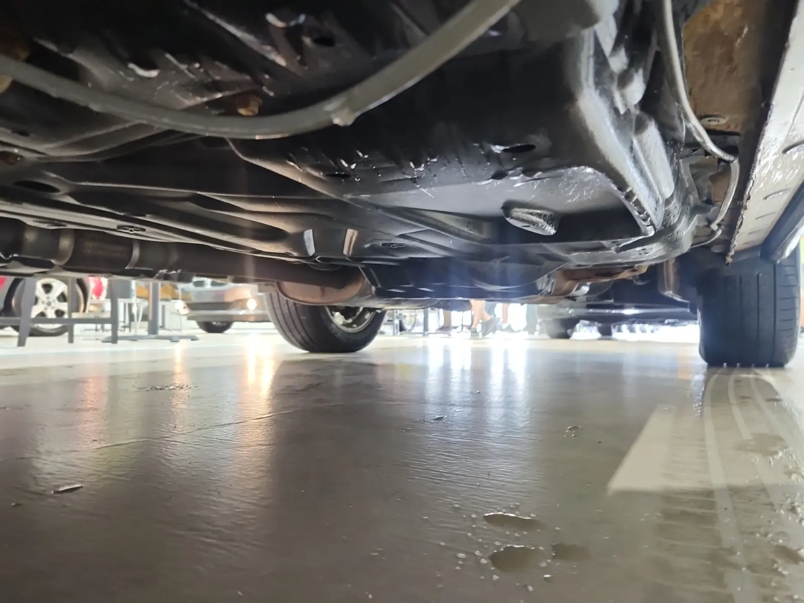 Undercarriage - Driver Photo