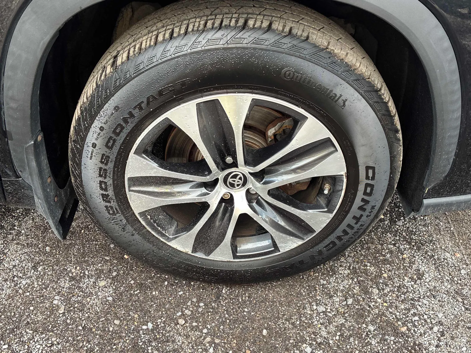 Tire