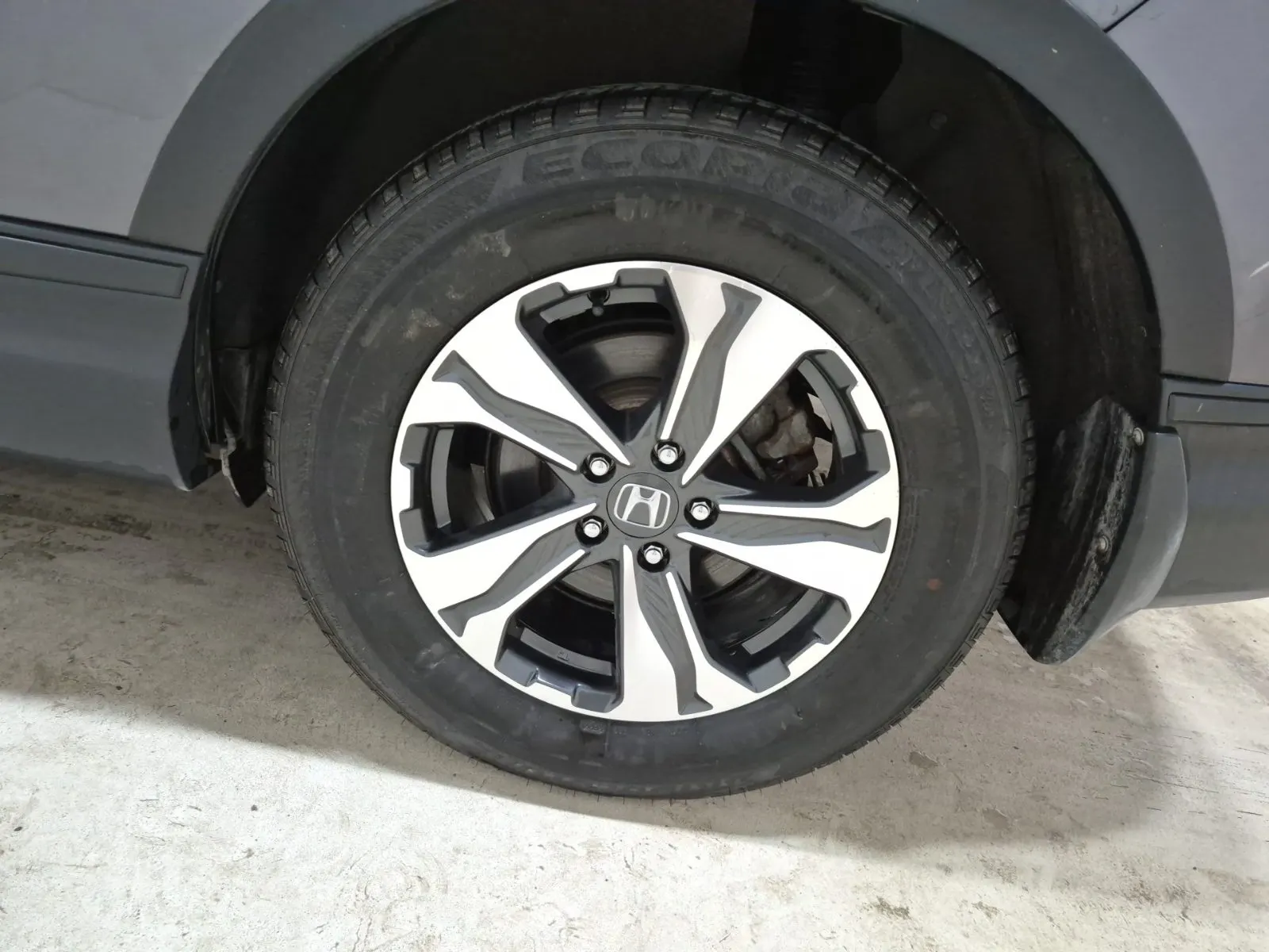 Left Rear Wheel/Tire Photo