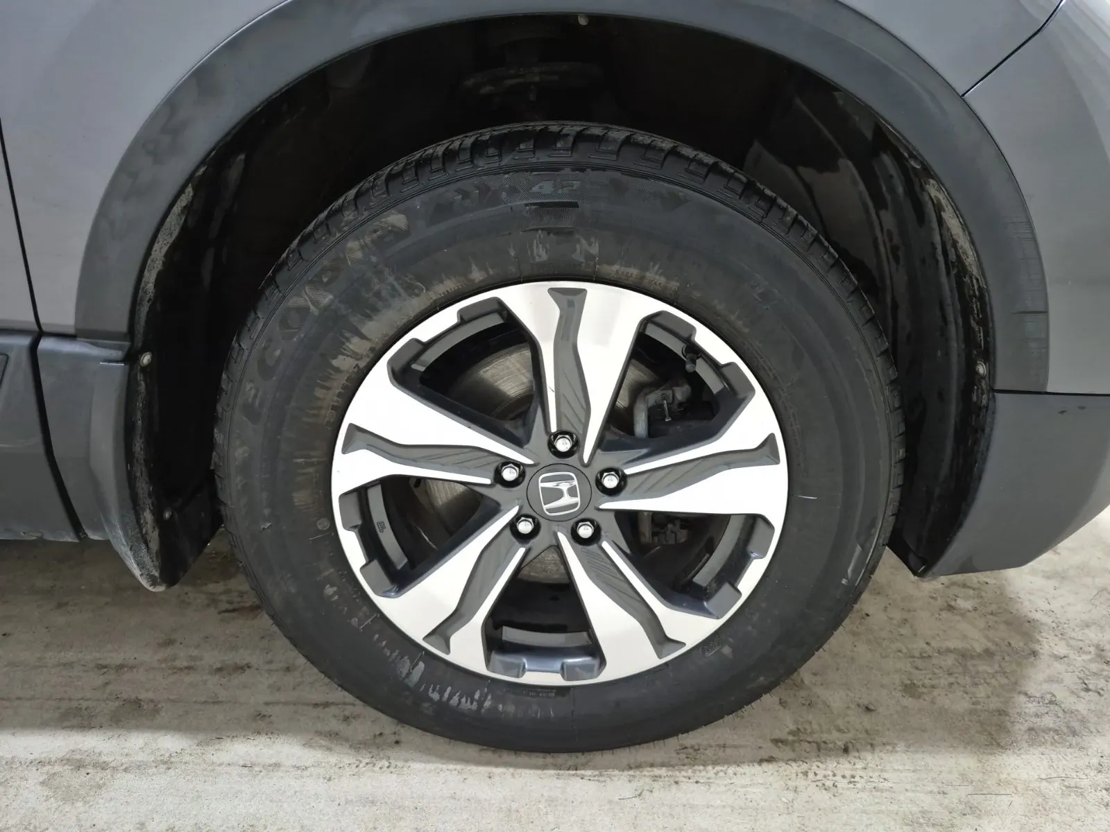 Right Front Wheel/Tire Photo