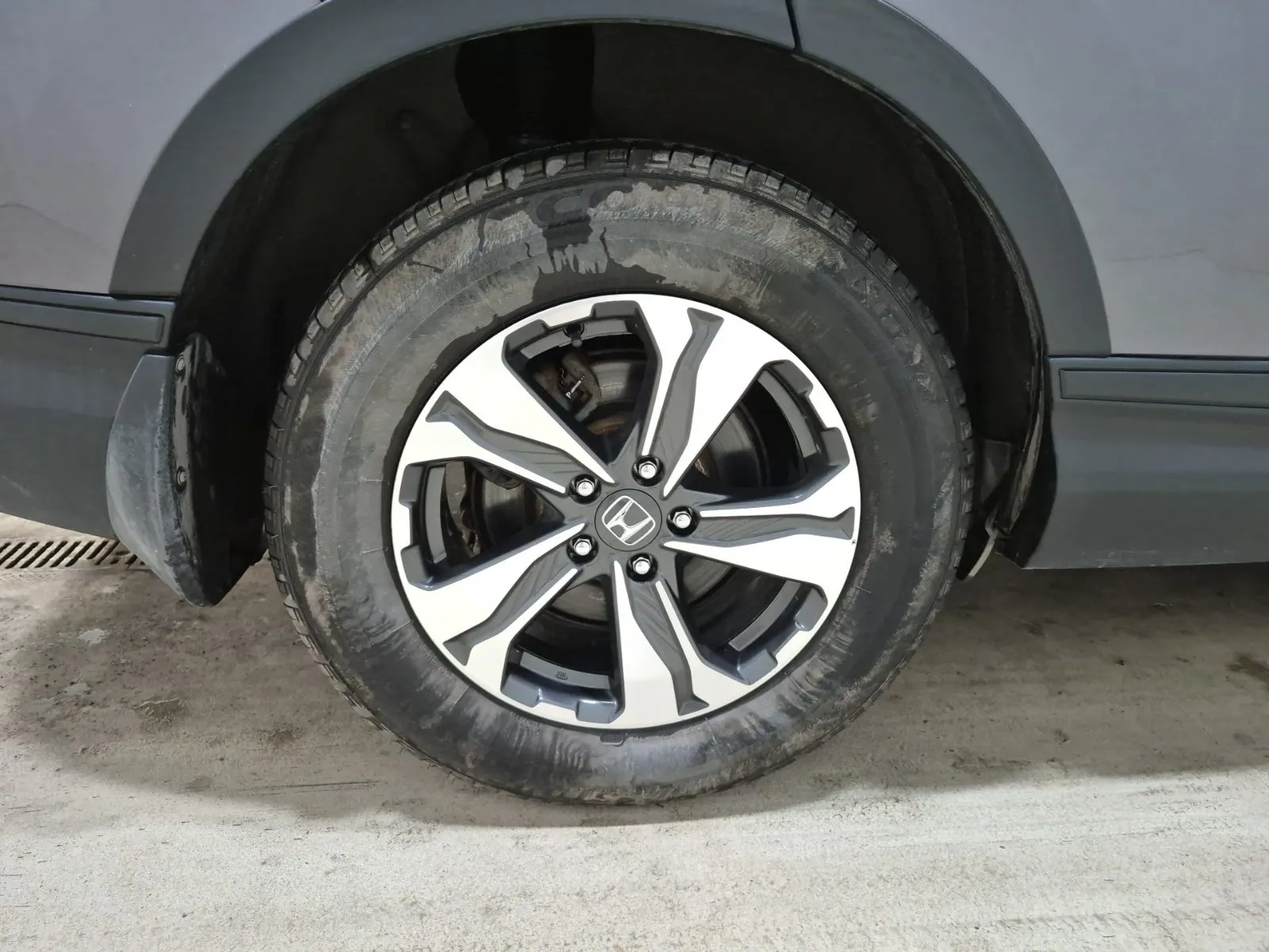 Right Rear Wheel/Tire Photo