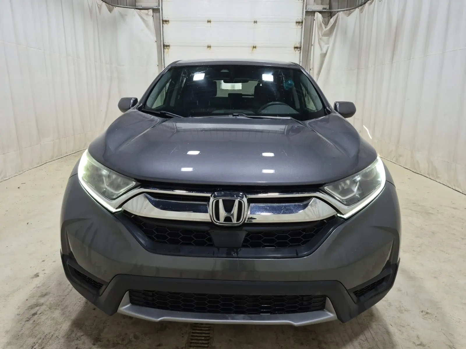 Full Front Photo