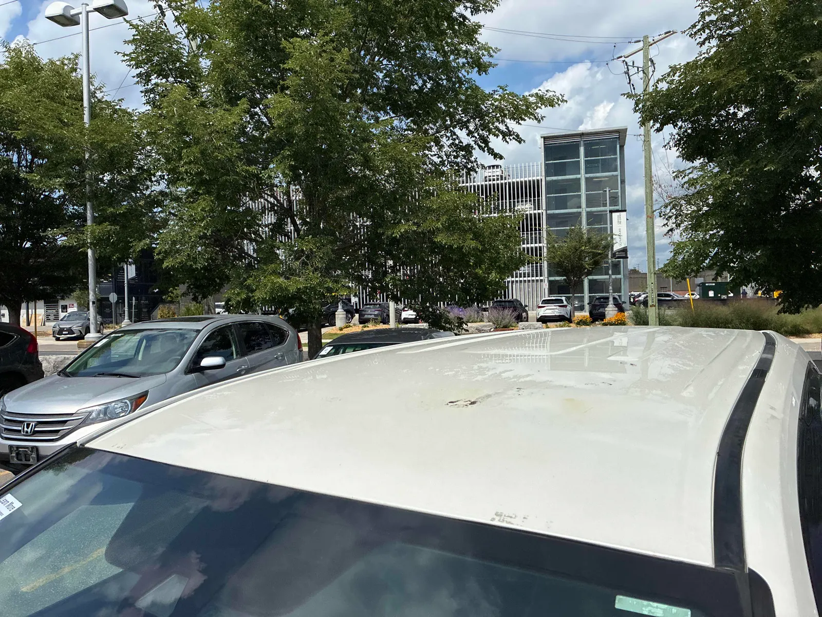 Additional Photo