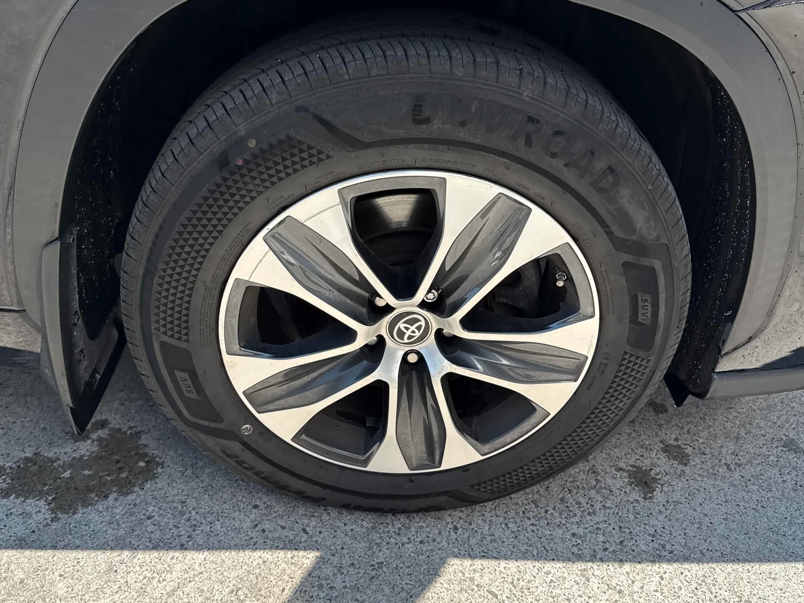 Tire