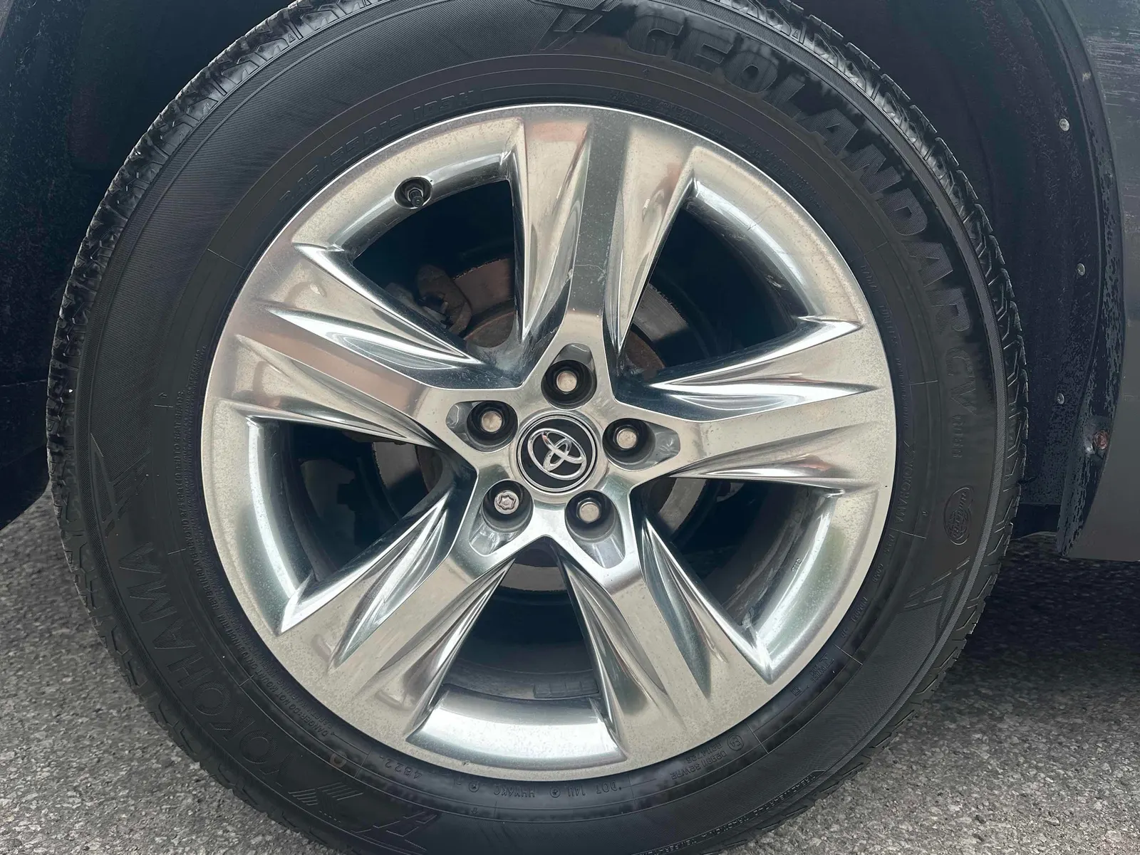Tire