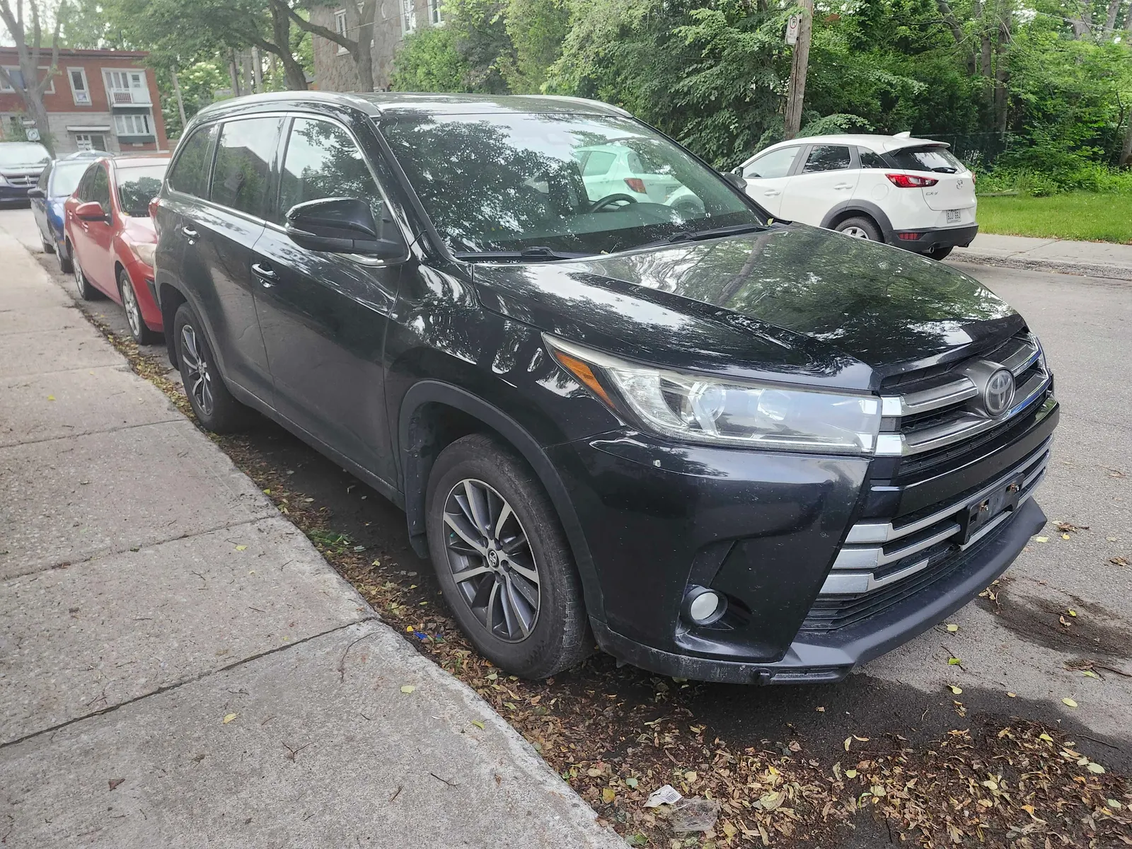 Additional Photo