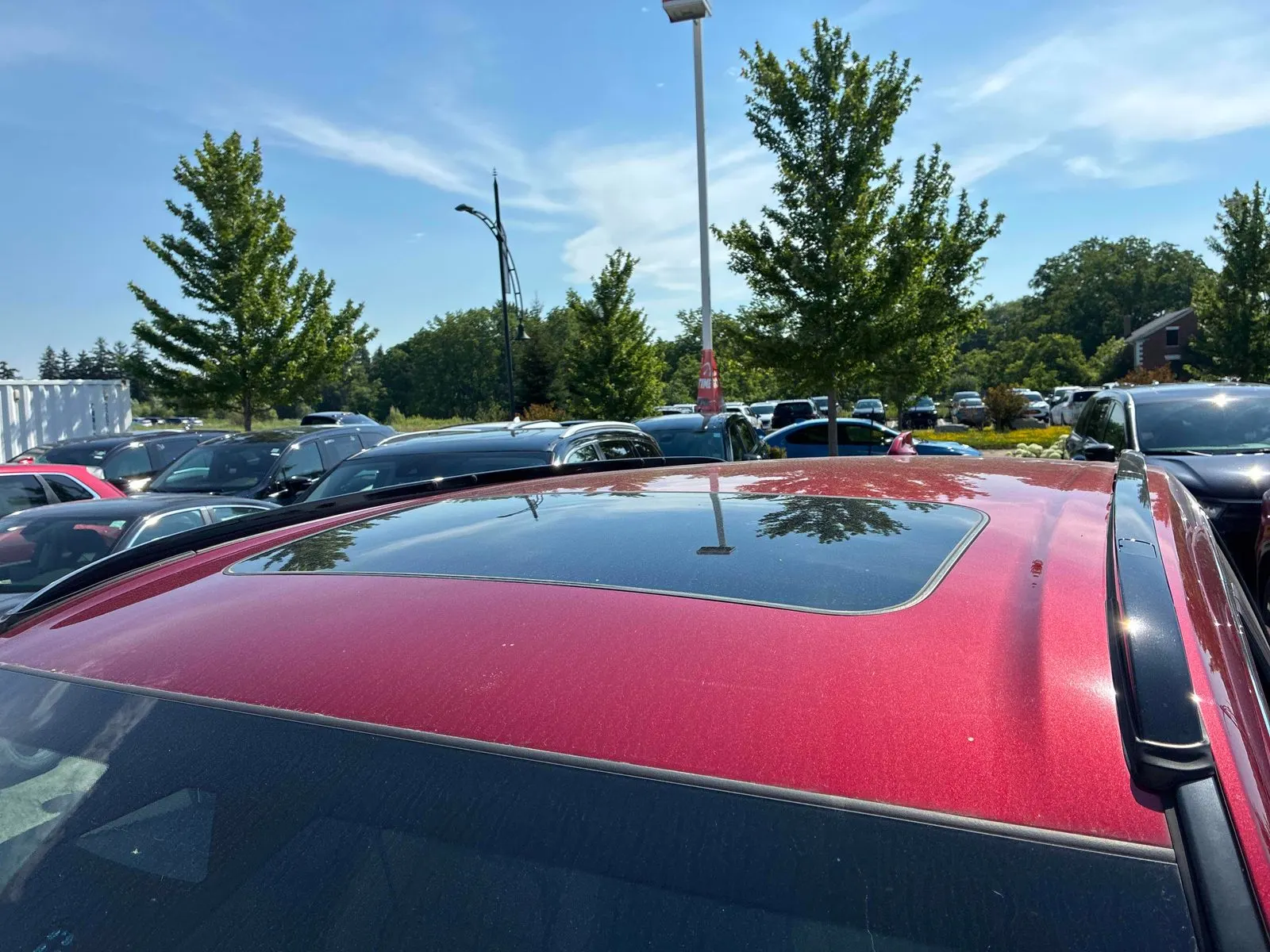 Additional Photo