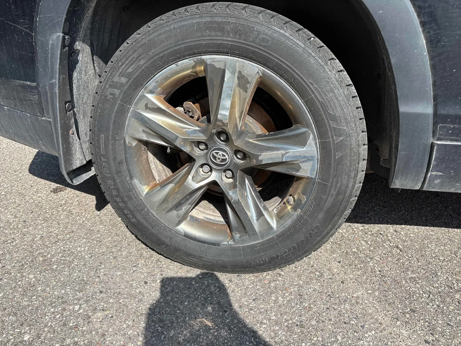Additional Photo
