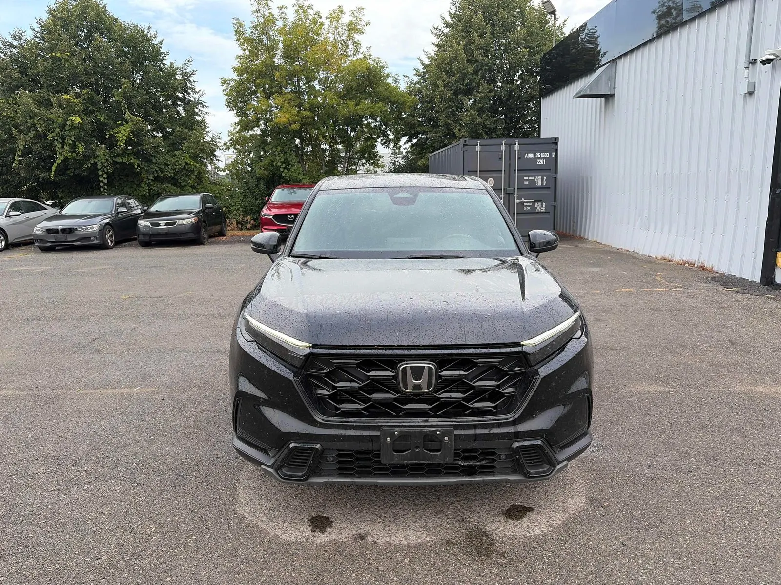 Front