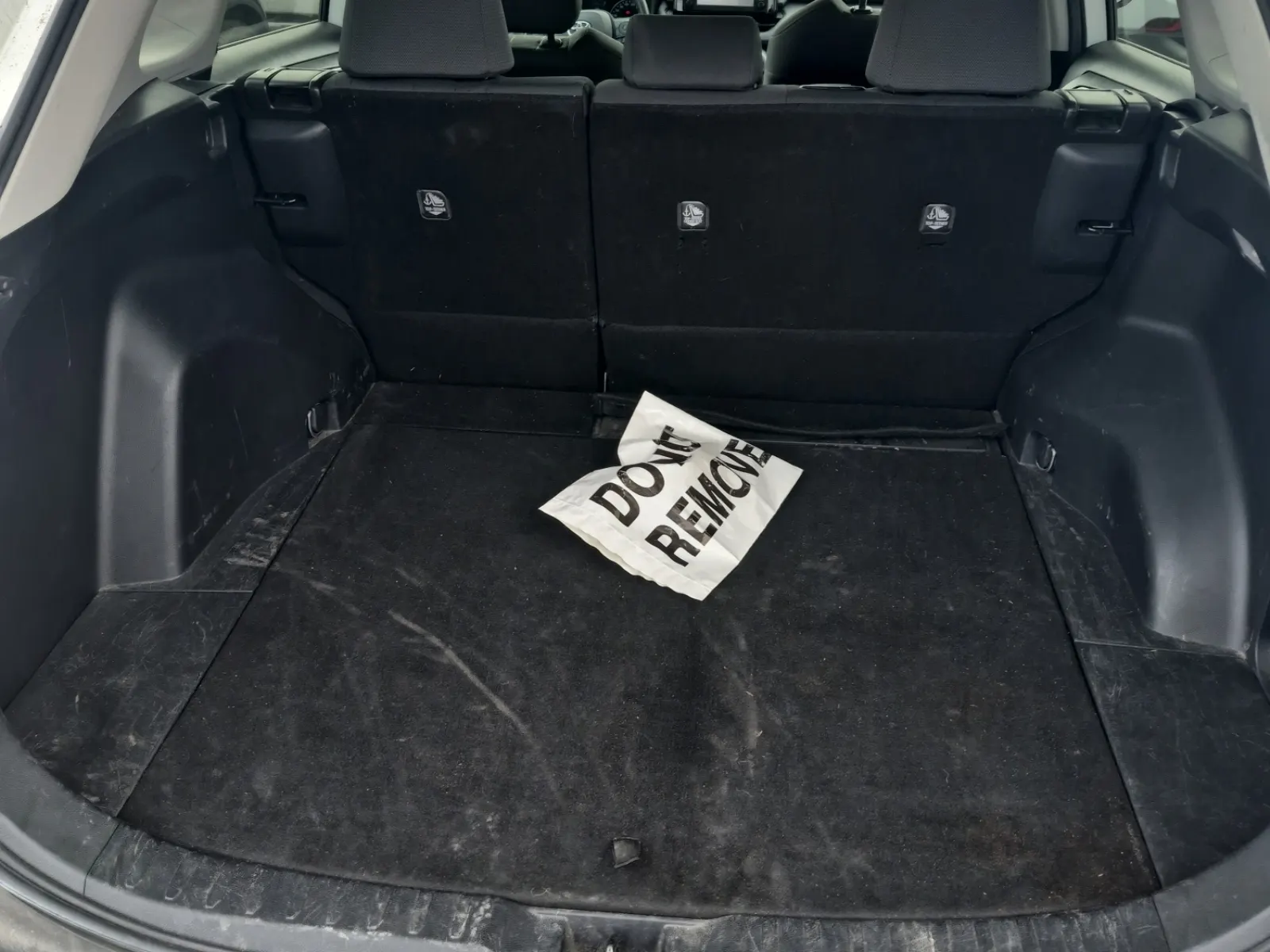 Cargo Area Photo